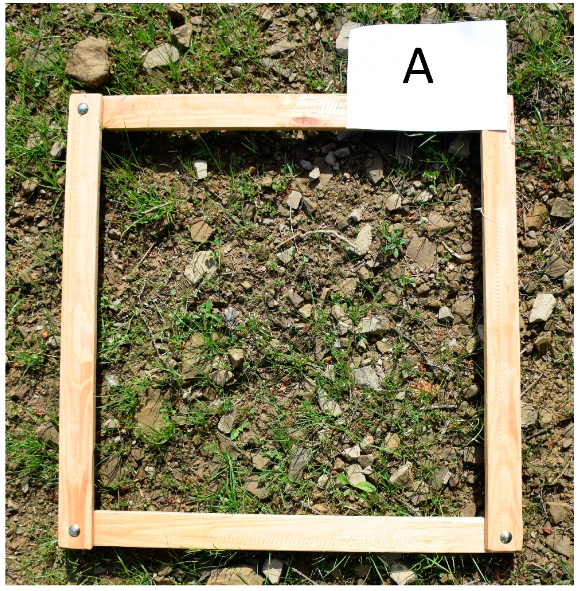 Sustainability 13 05828 g001