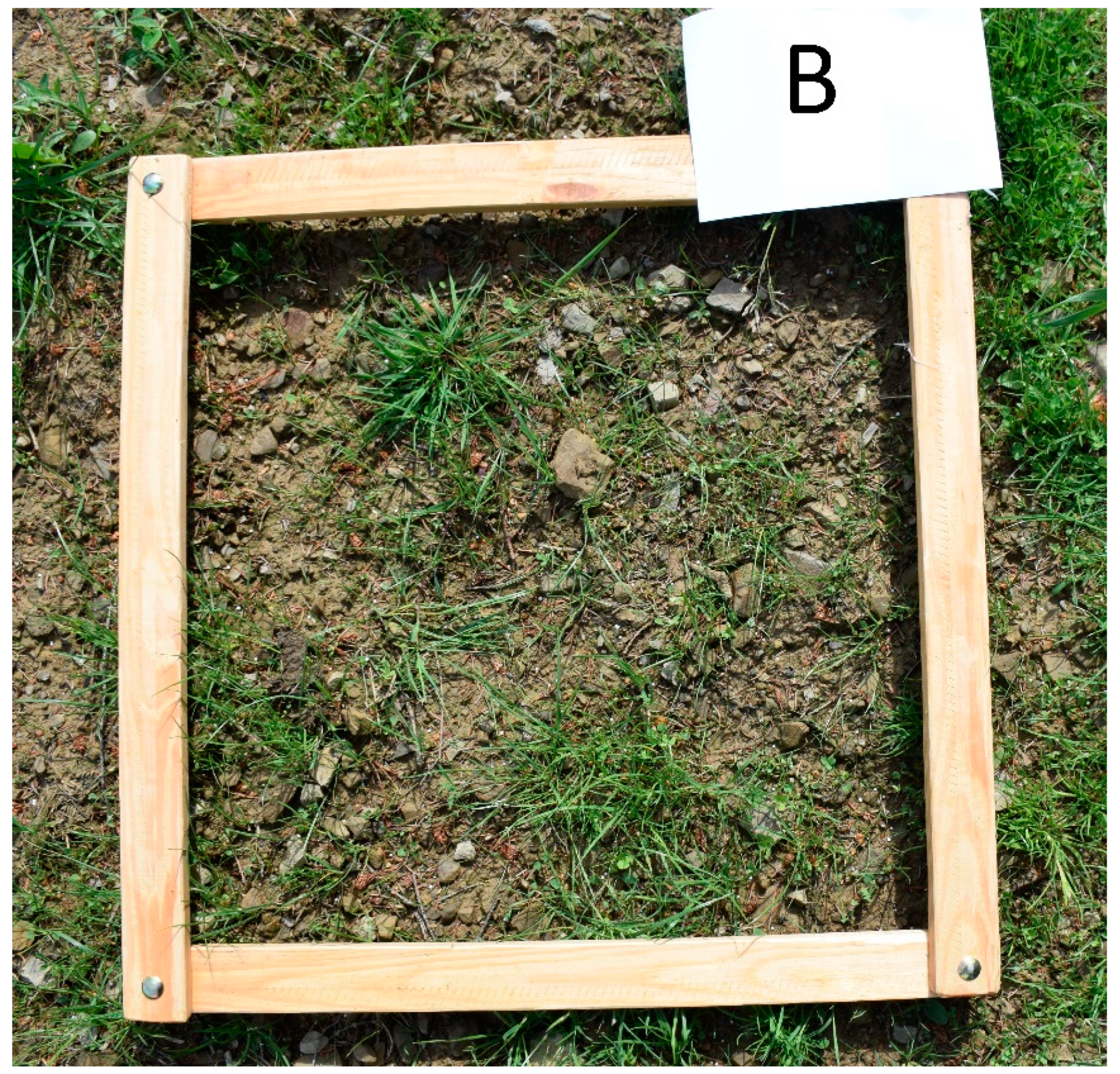 Sustainability 13 05828 g002