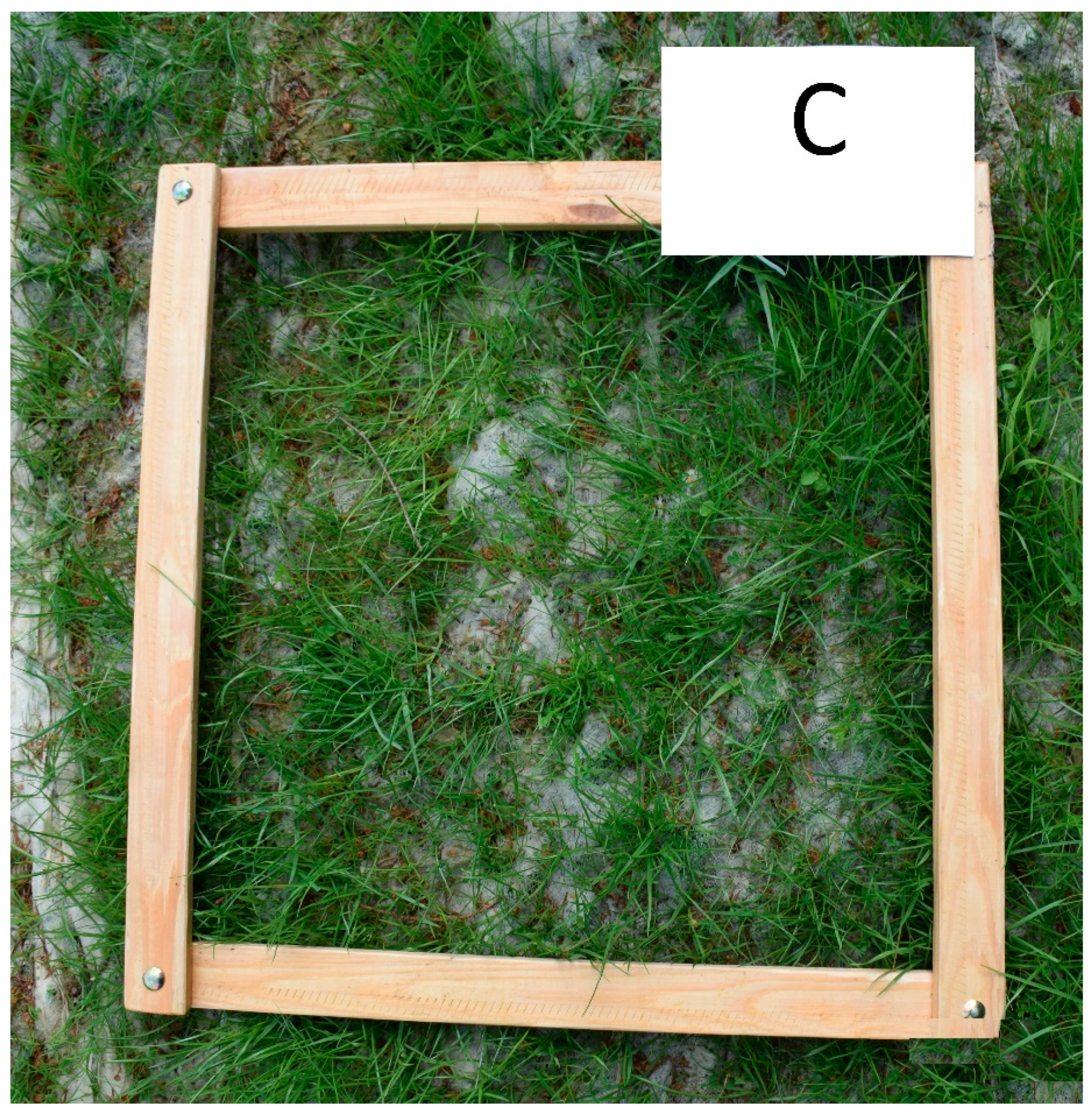 Sustainability 13 05828 g003