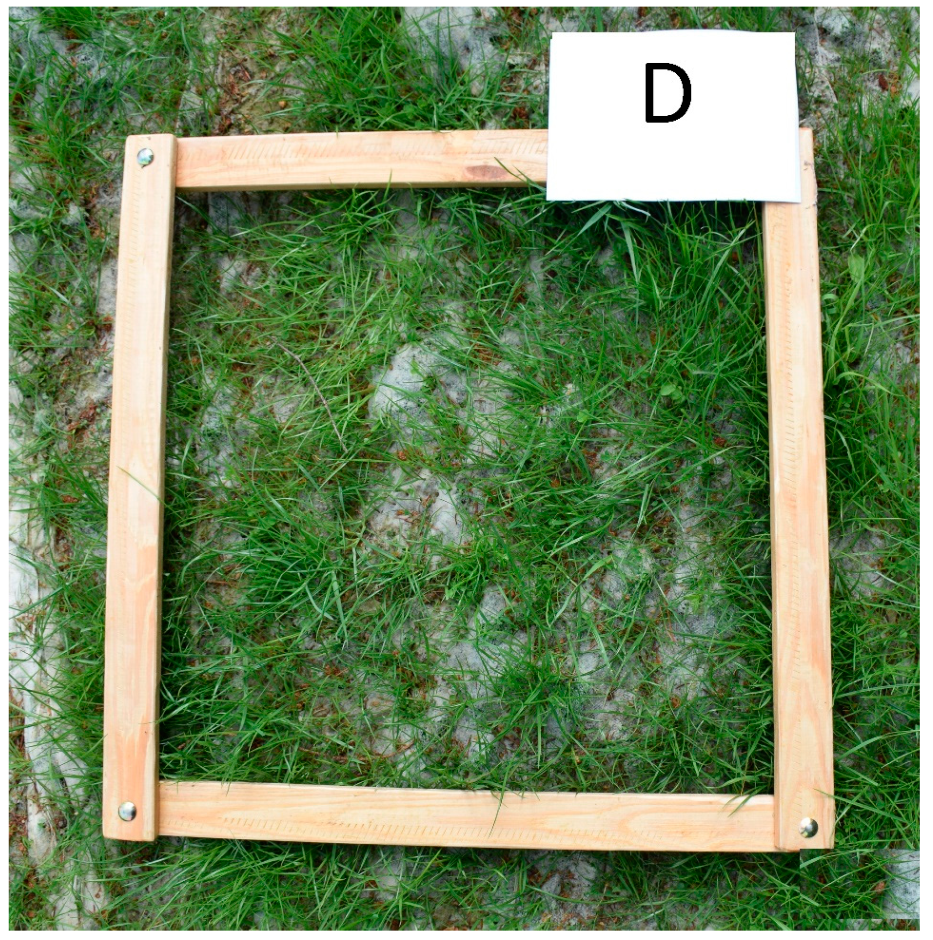 Sustainability 13 05828 g004