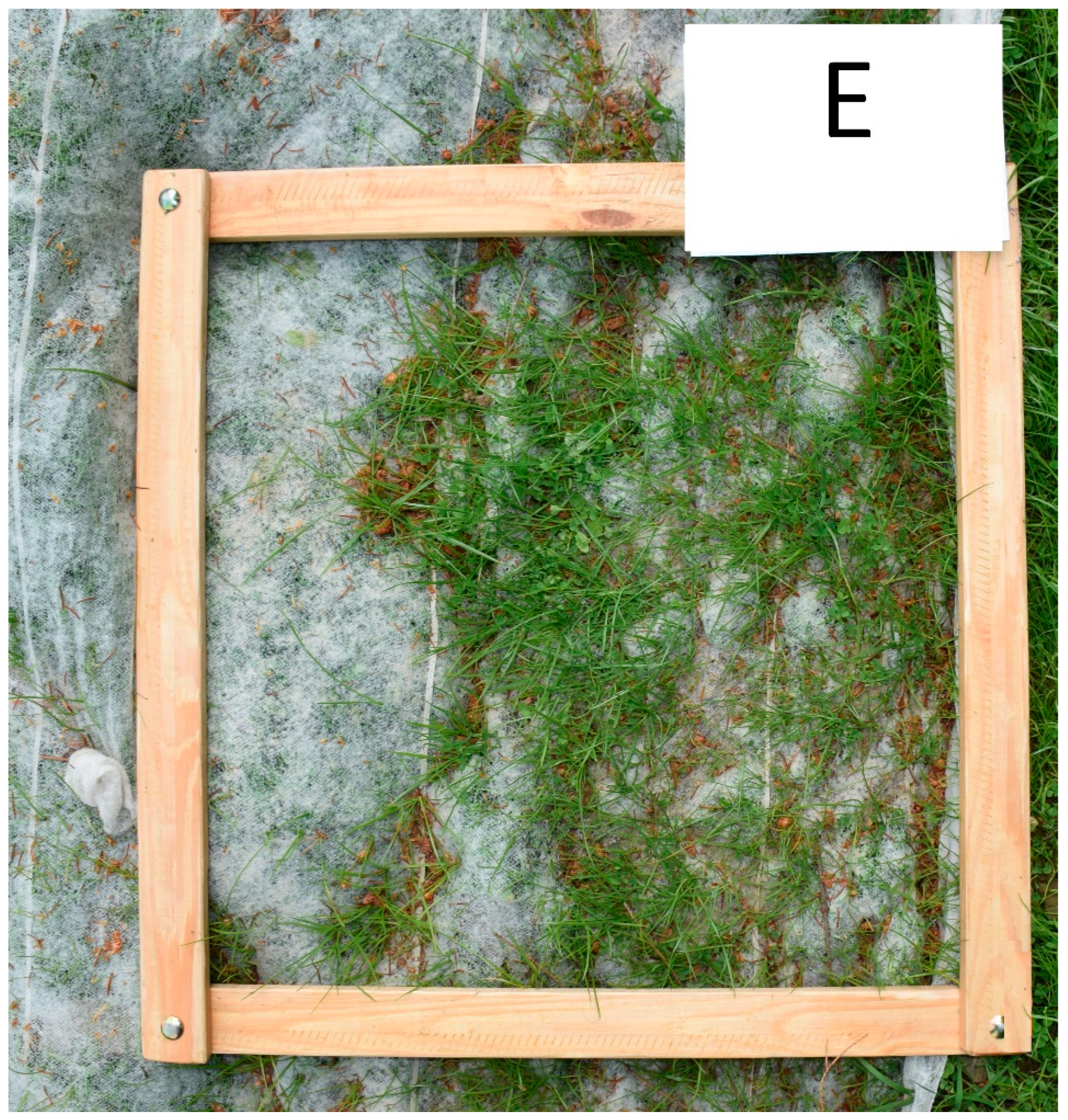 Sustainability 13 05828 g005