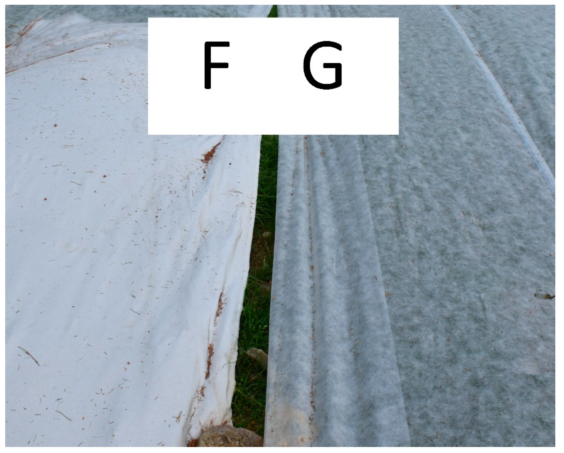 Sustainability 13 05828 g006