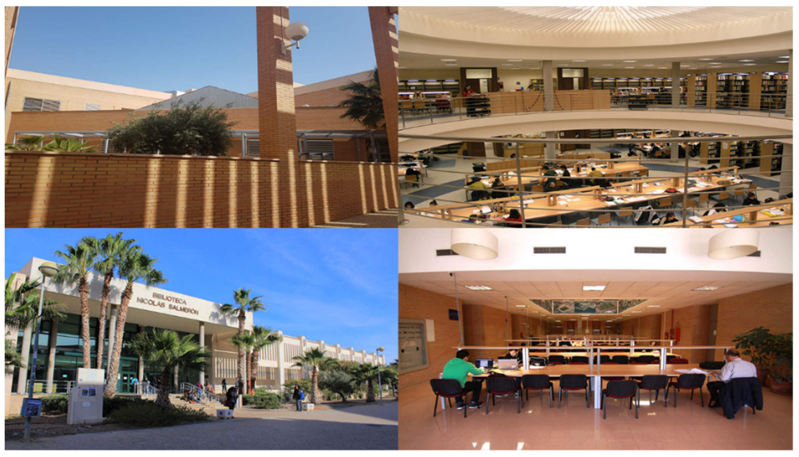 Sustainability 13 05843 g004