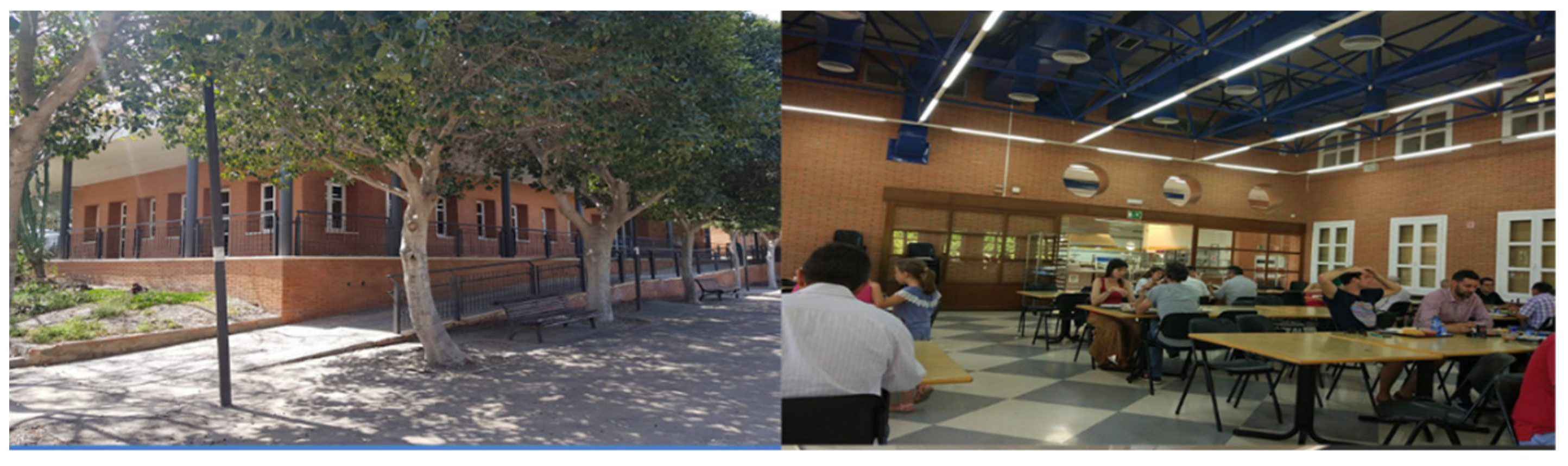 Sustainability 13 05843 g005