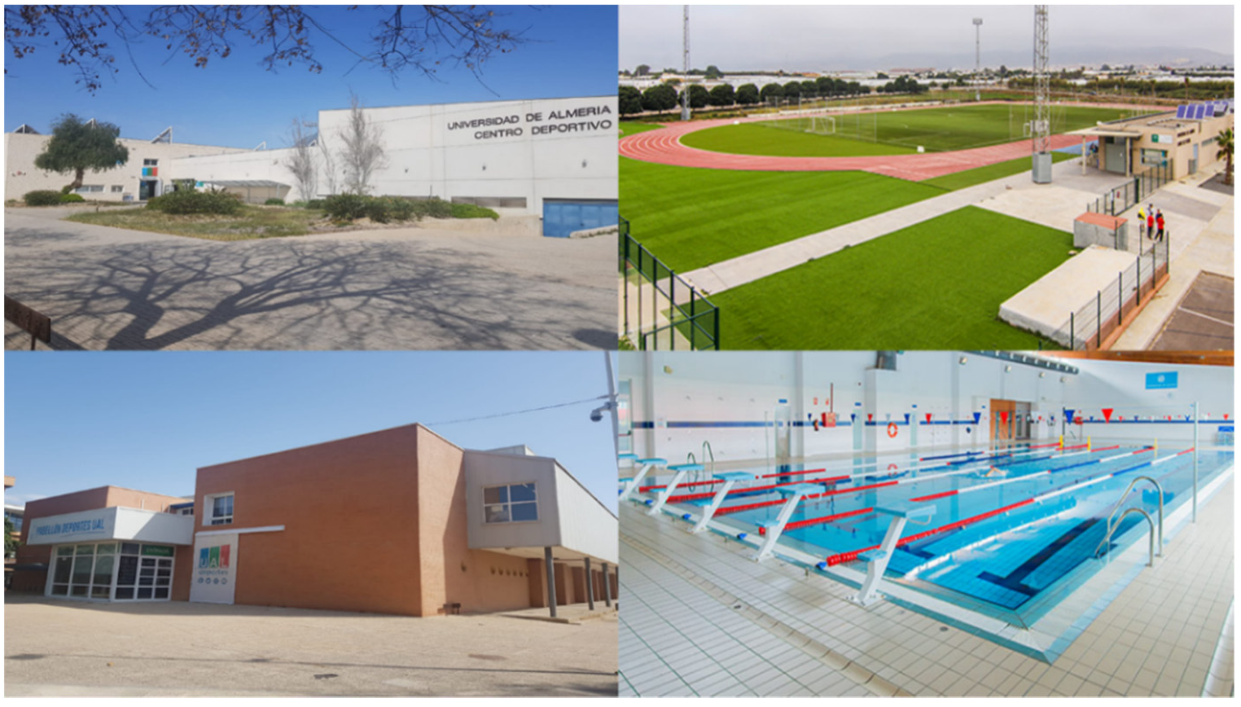 Sustainability 13 05843 g006