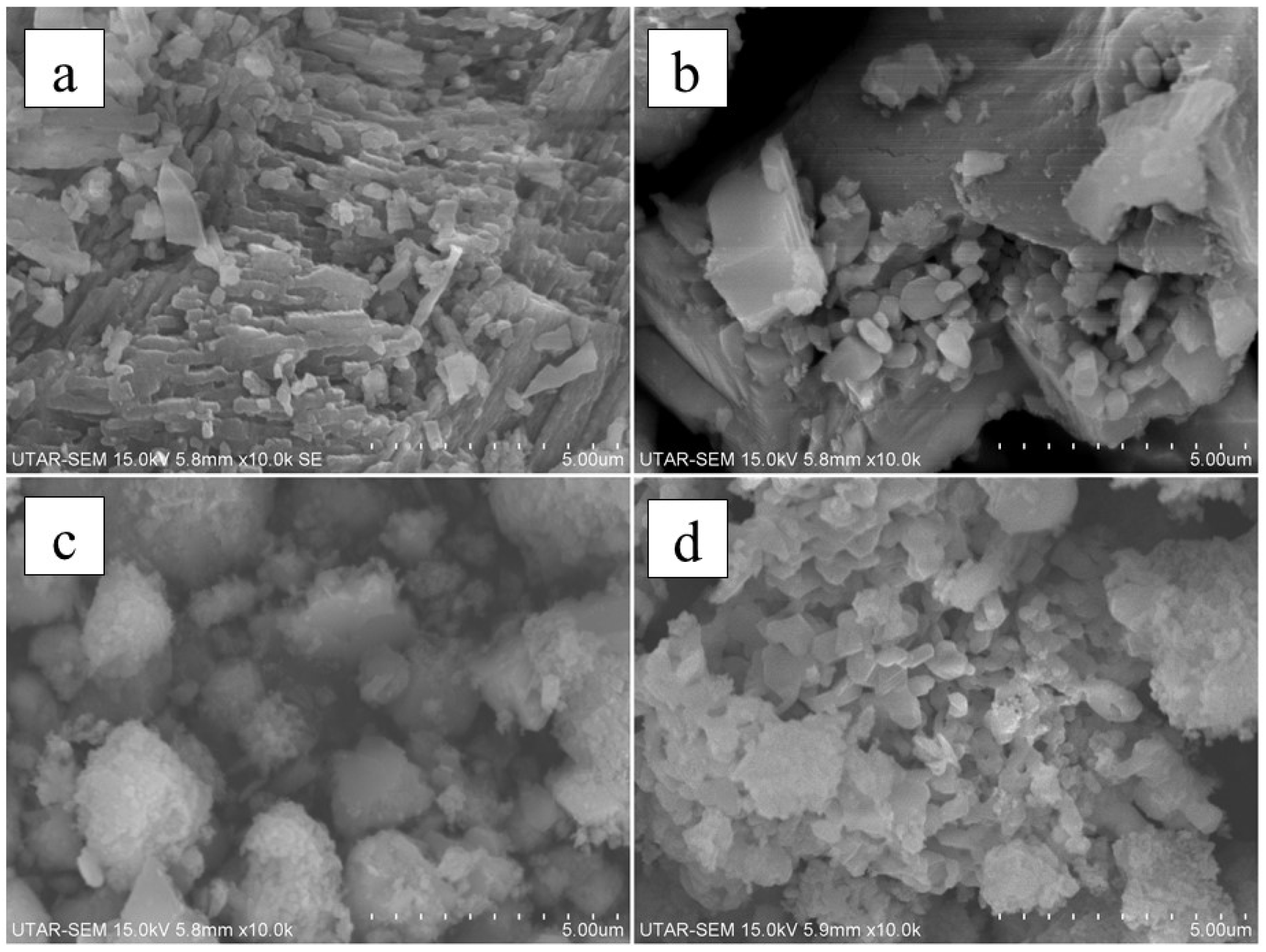 Sustainability 13 05849 g003 Sustainability 13 05849 g003