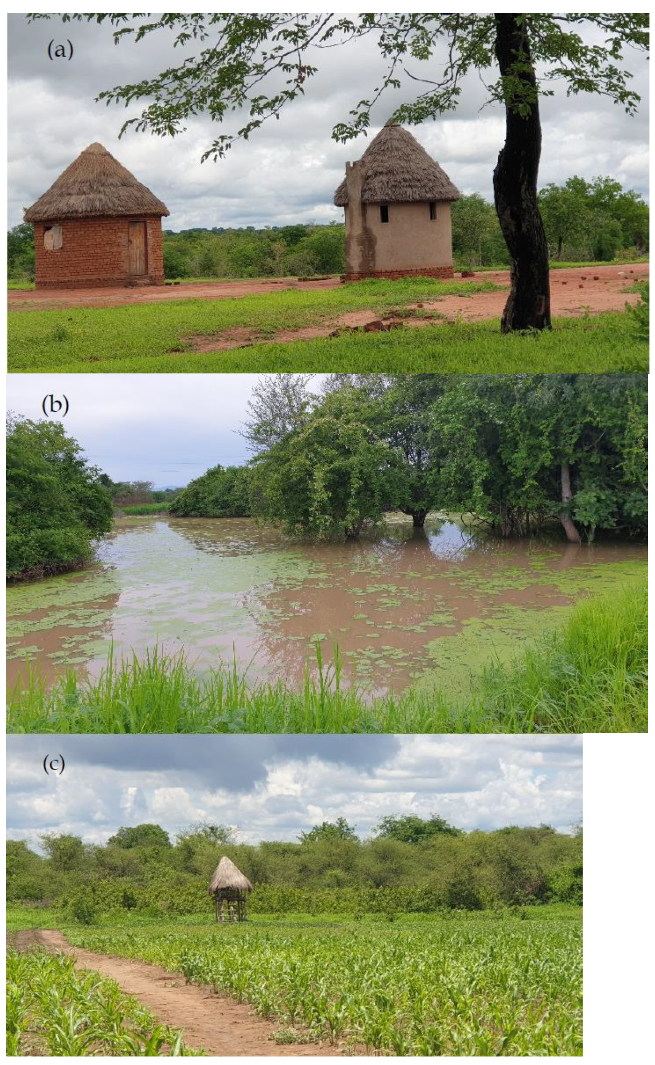 Sustainability 13 05885 g002 Sustainability 13 05885 g002