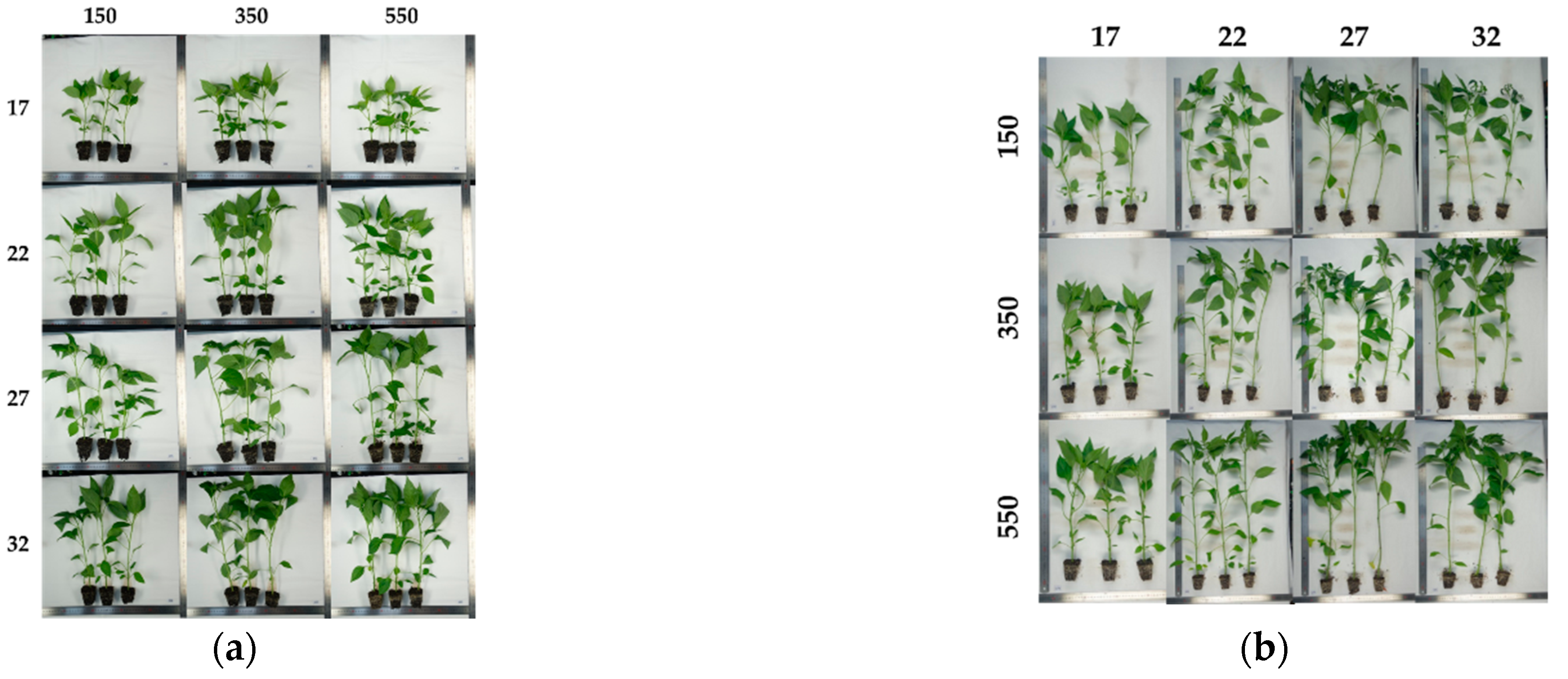 Sustainability 13 05895 g001 Sustainability 13 05895 g001