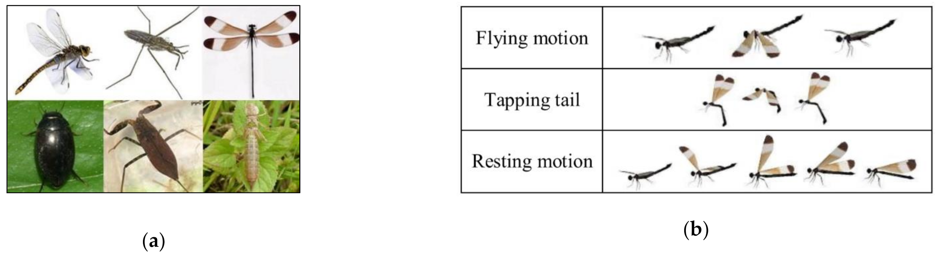 Sustainability 13 05911 g004