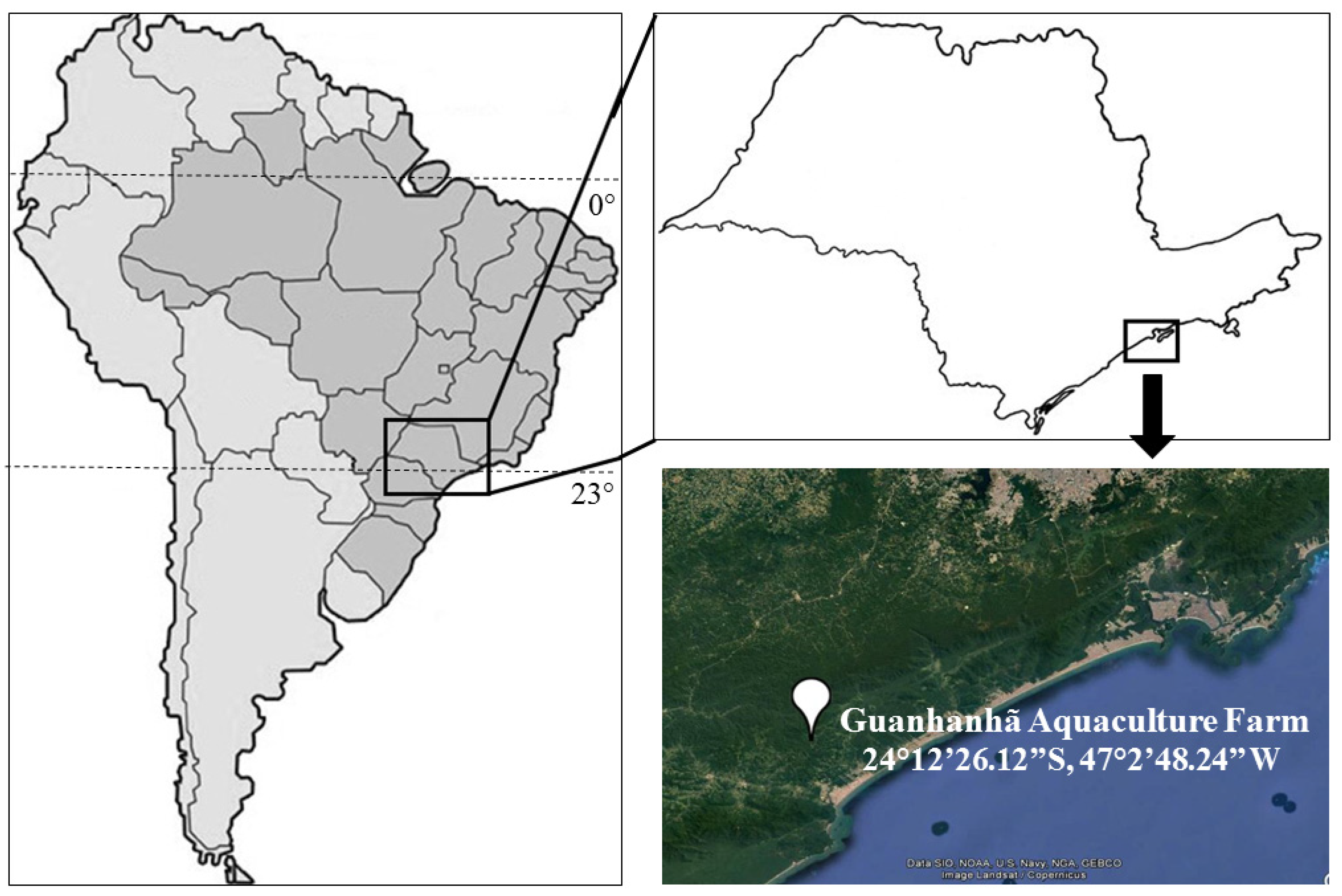 Sustainability 13 05934 g001