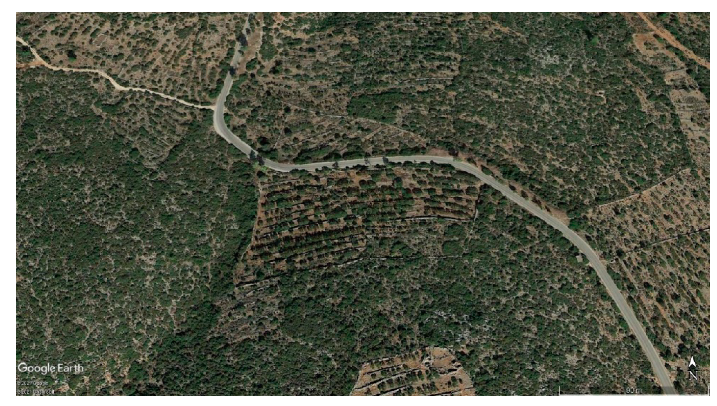 Sustainability 13 05955 g003