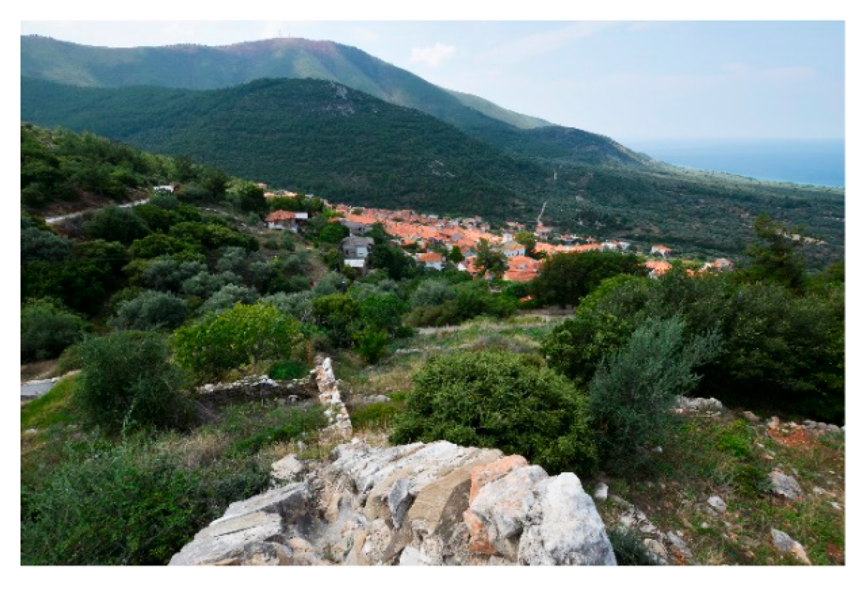 Sustainability 13 05955 g010