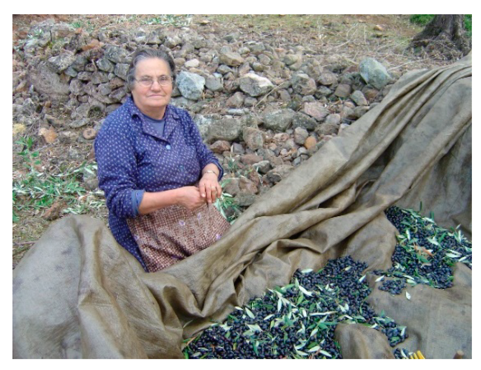 Sustainability 13 05955 g011