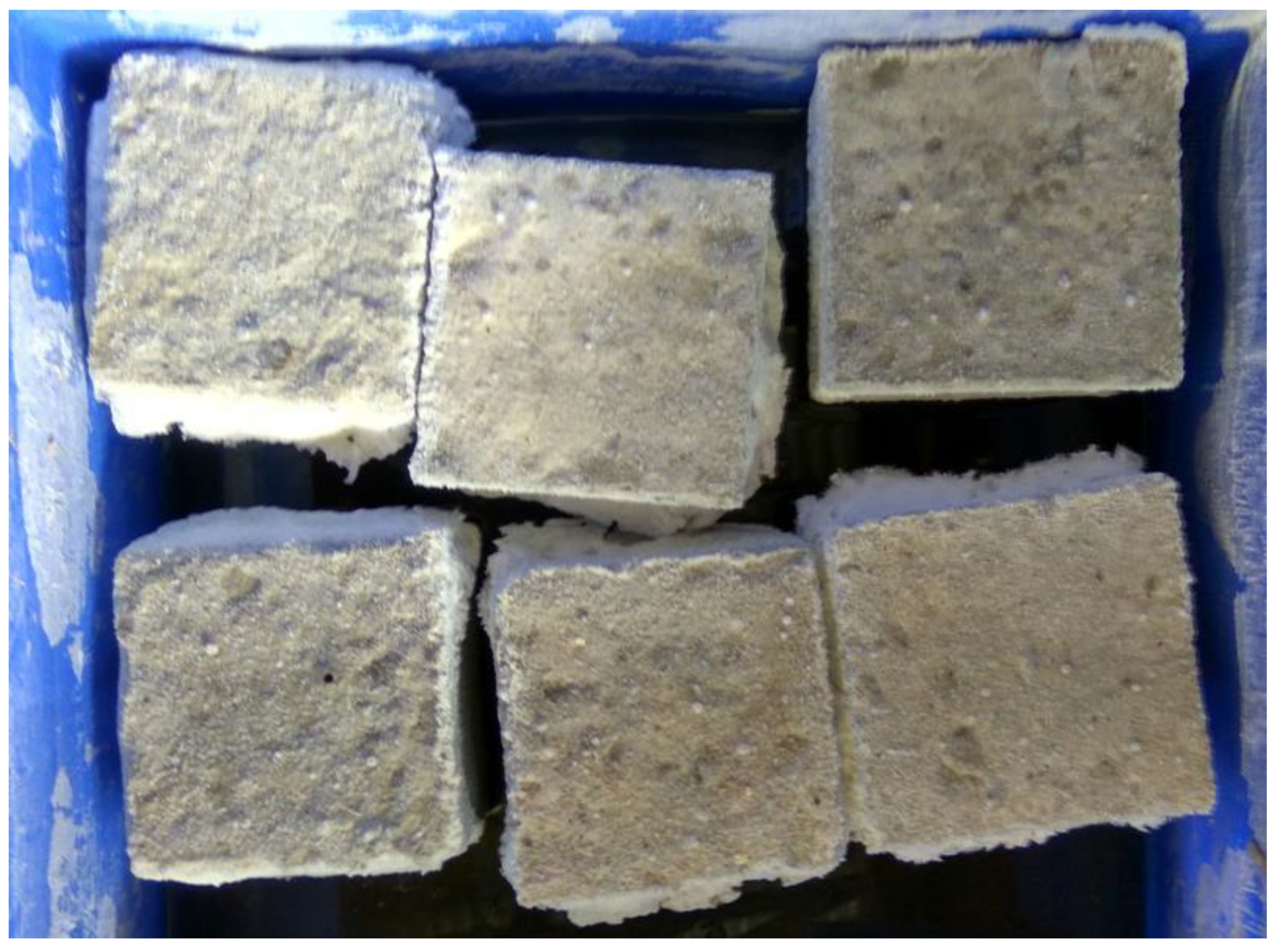 Sustainability 13 05969 g006