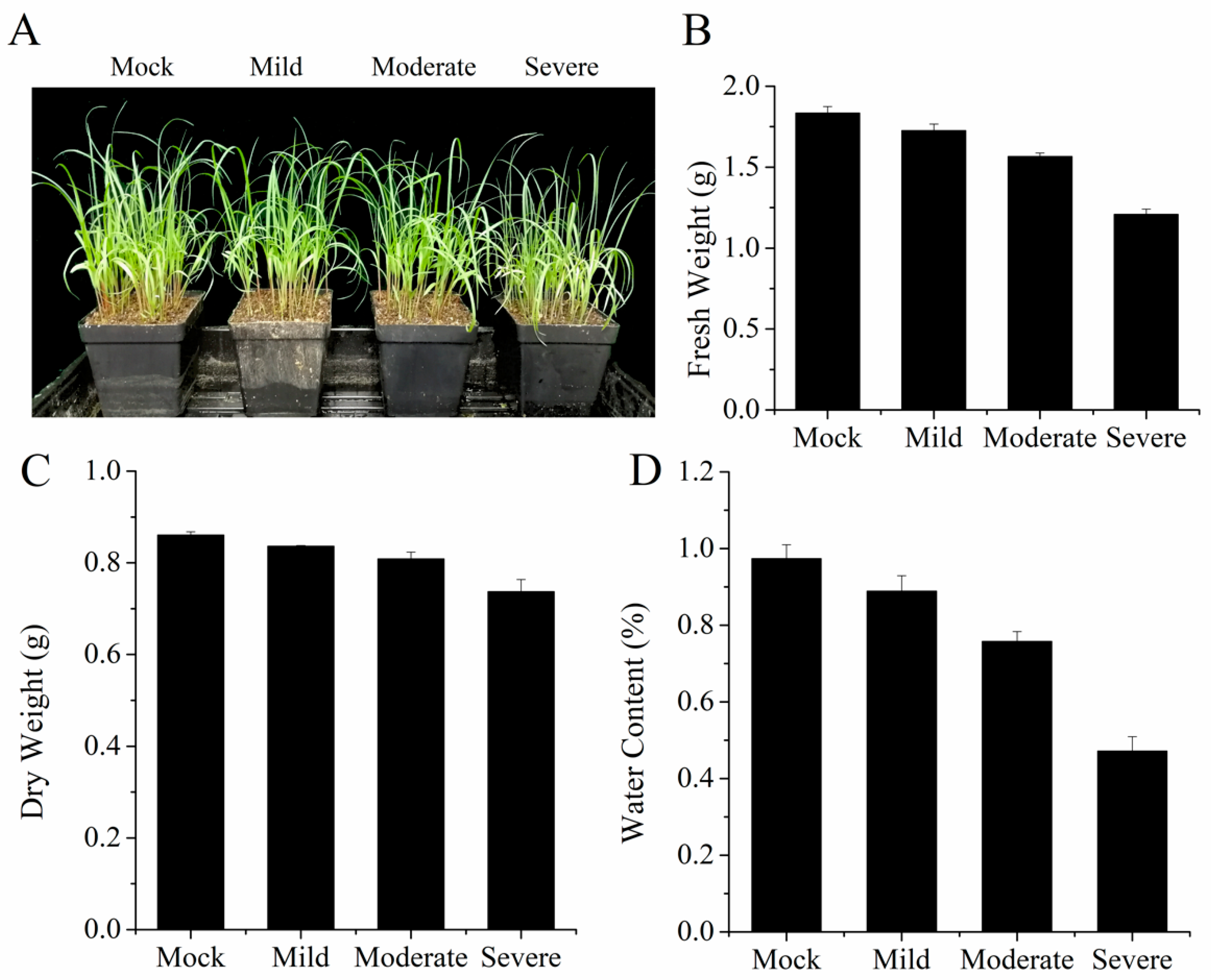 Sustainability 13 05976 g001 Sustainability 13 05976 g001