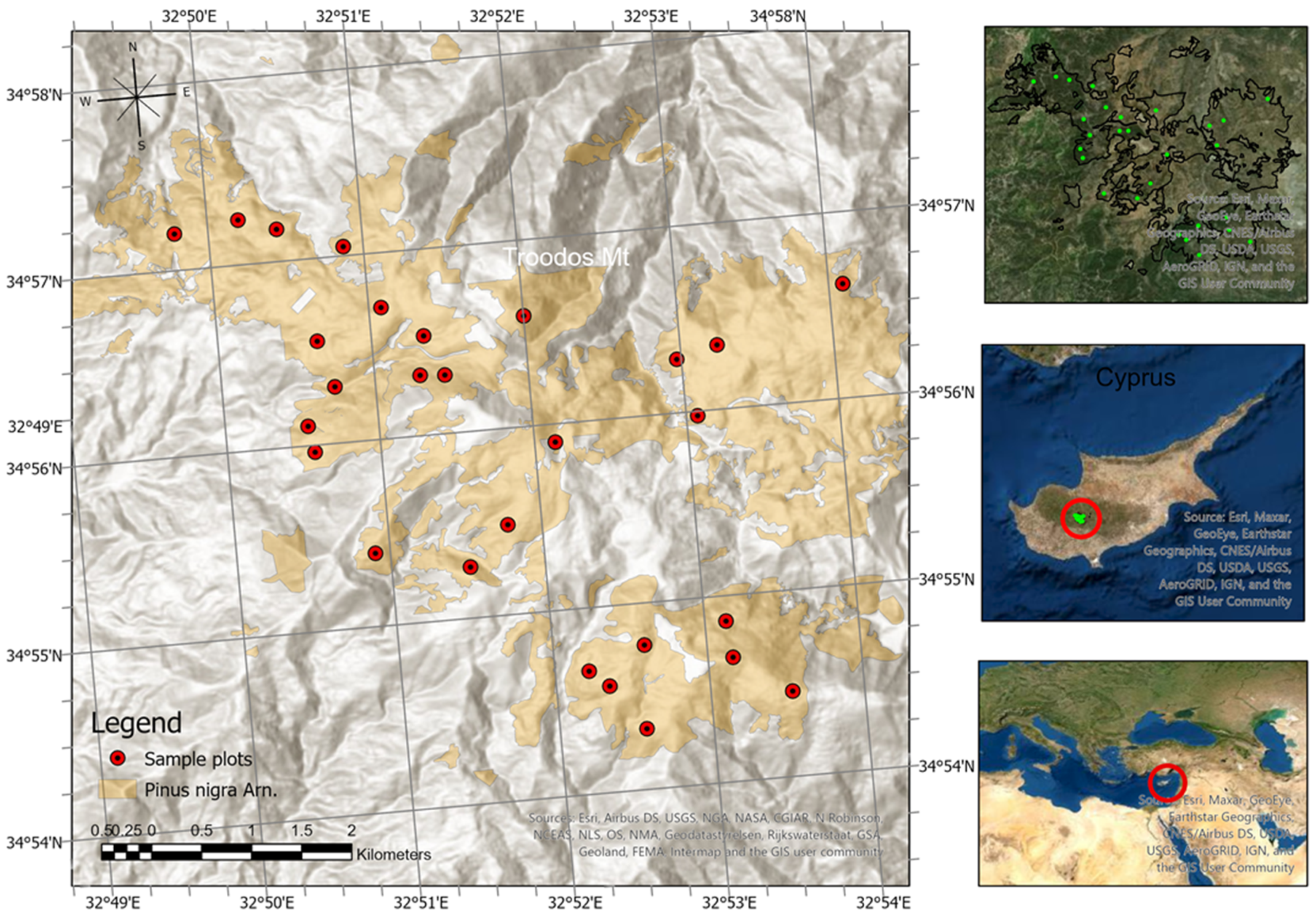 Sustainability 13 05998 g001