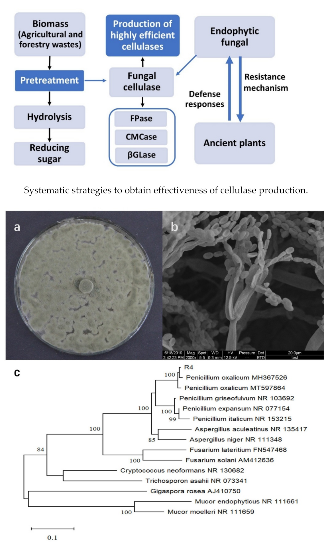 Sustainability 13 06006 g001