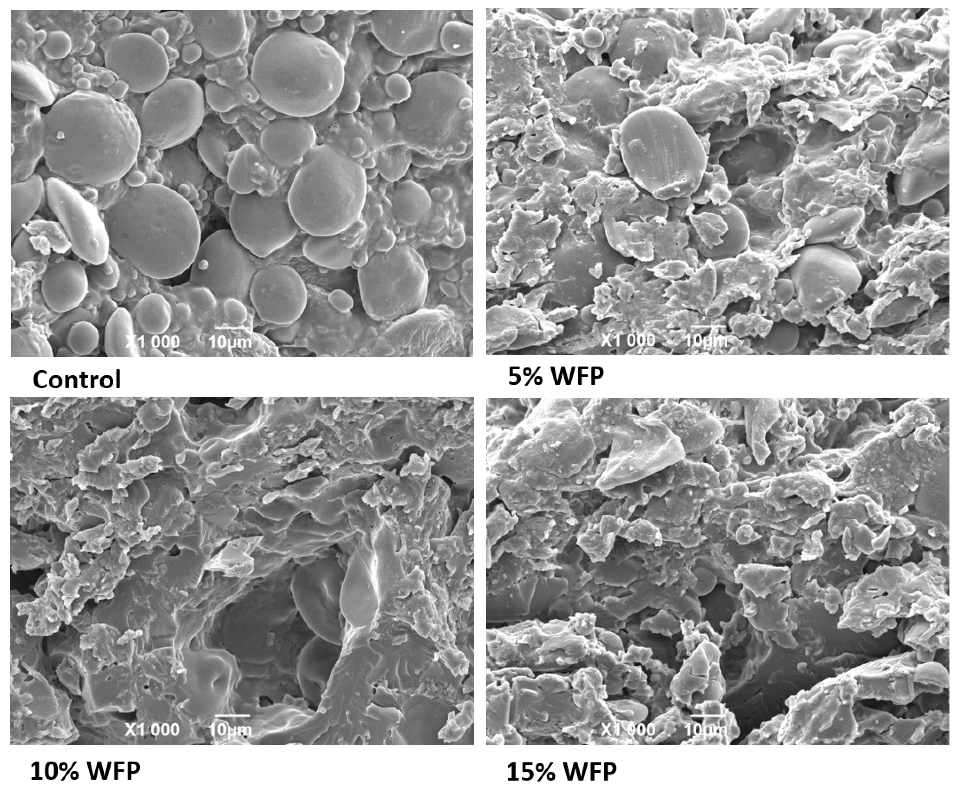 Sustainability 13 06010 g004 Sustainability 13 06010 g004