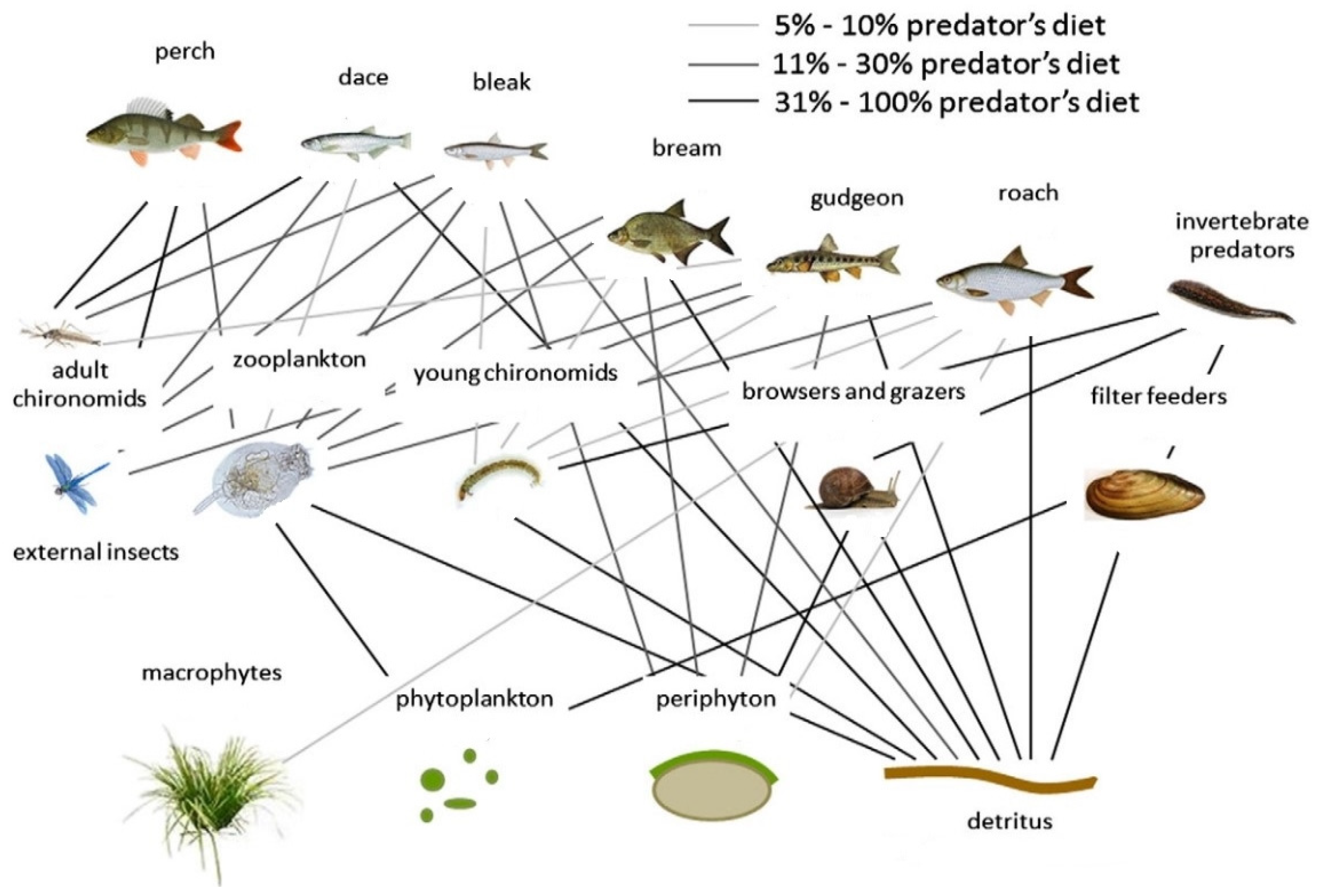 Sustainability 13 06045 g004