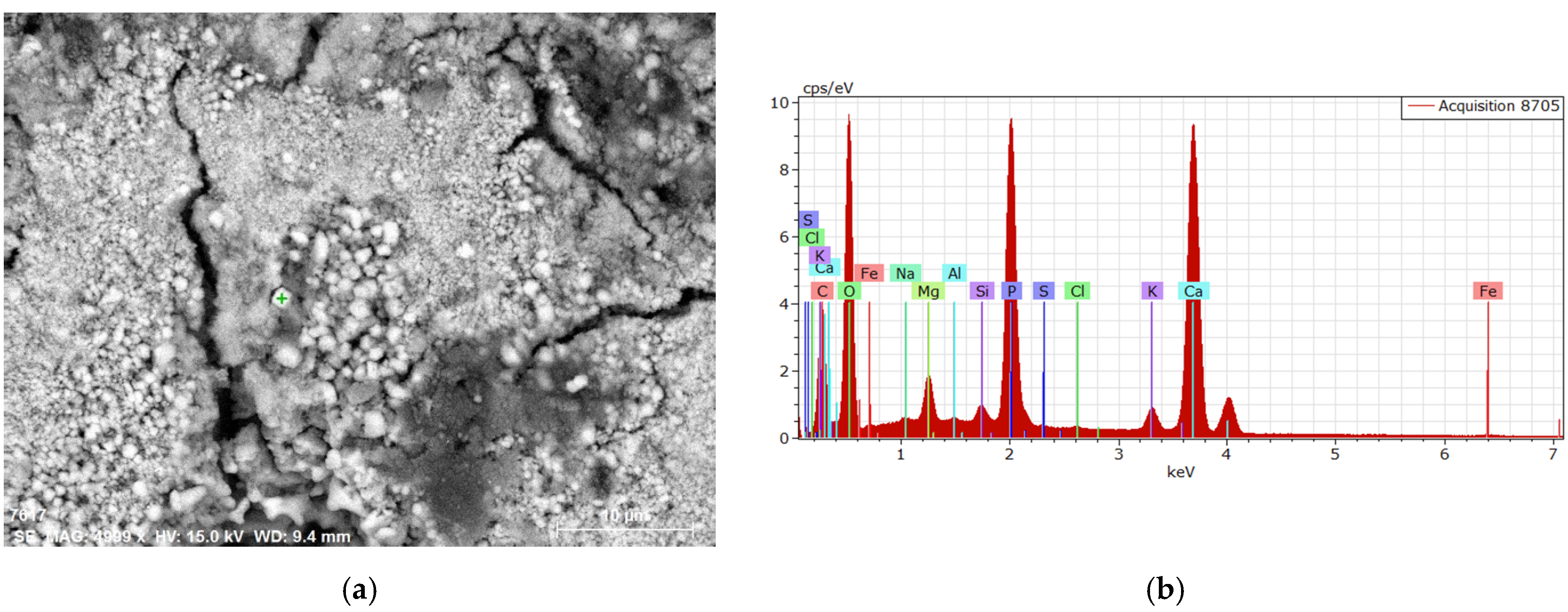 Sustainability 13 06052 g005