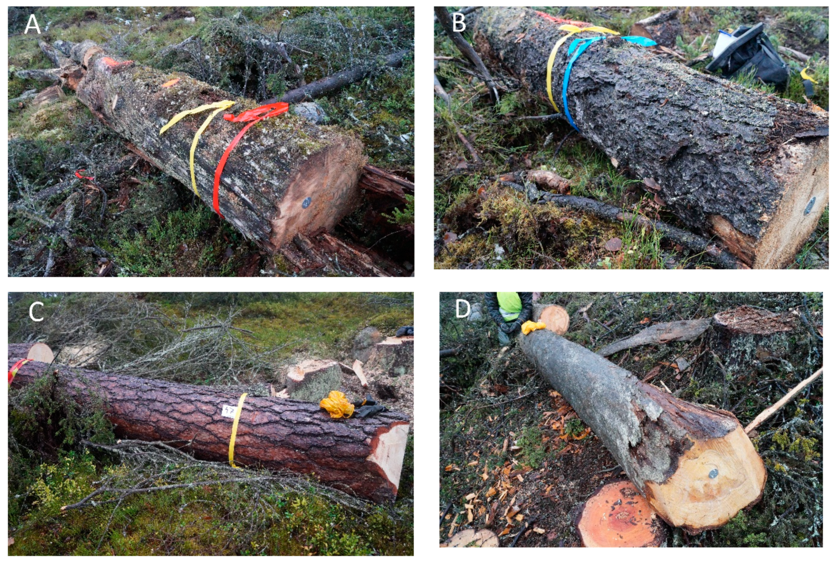 Sustainability 13 06075 g002