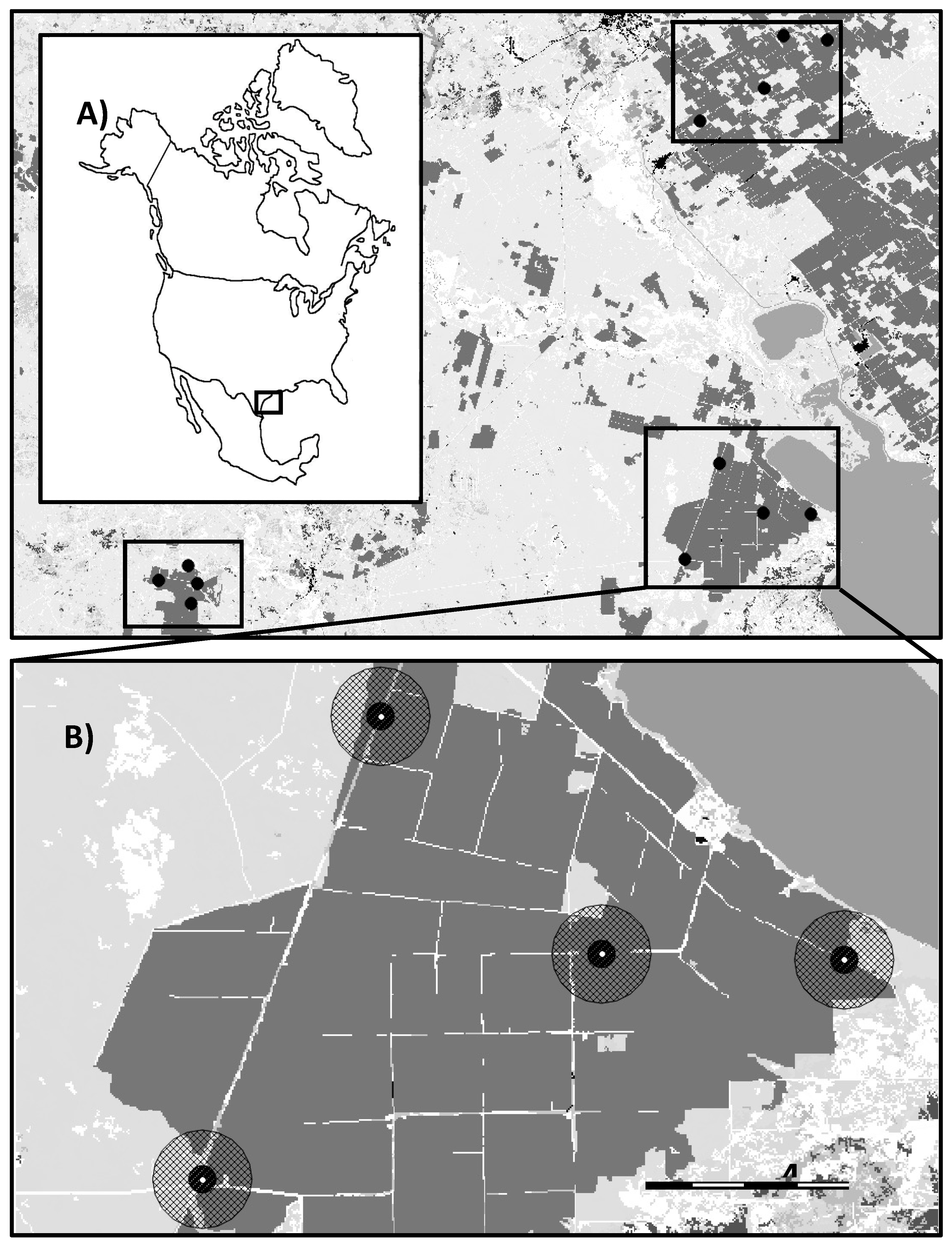 Sustainability 13 06079 g001 Sustainability 13 06079 g001
