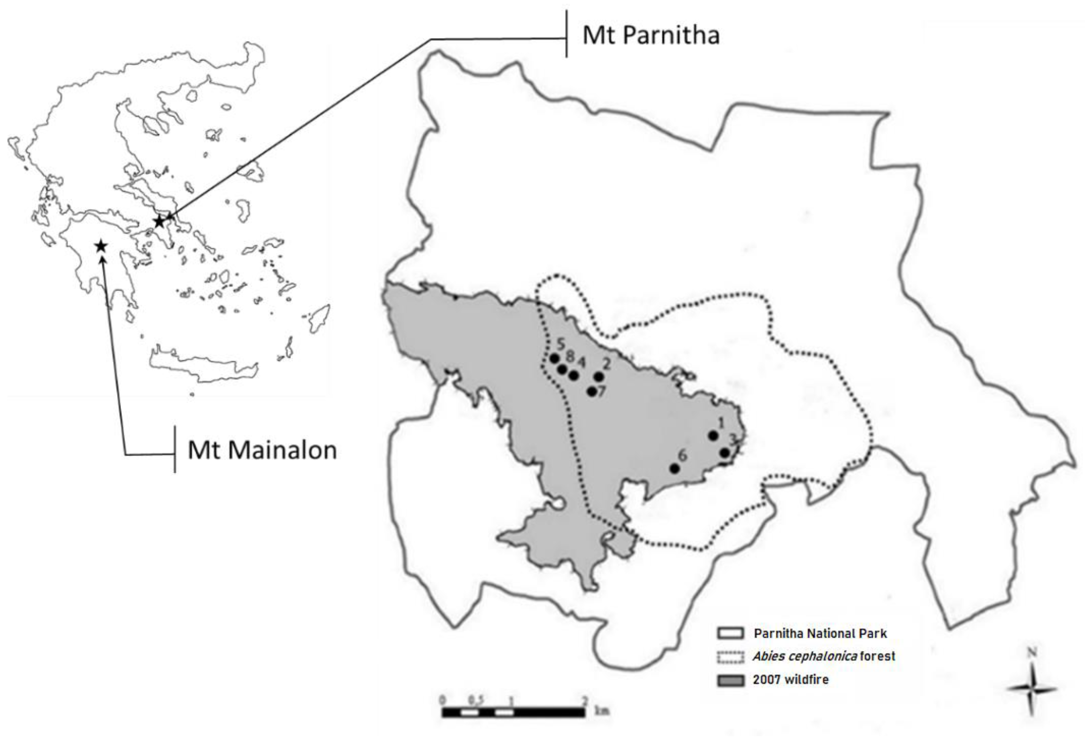 Sustainability 13 06097 g001