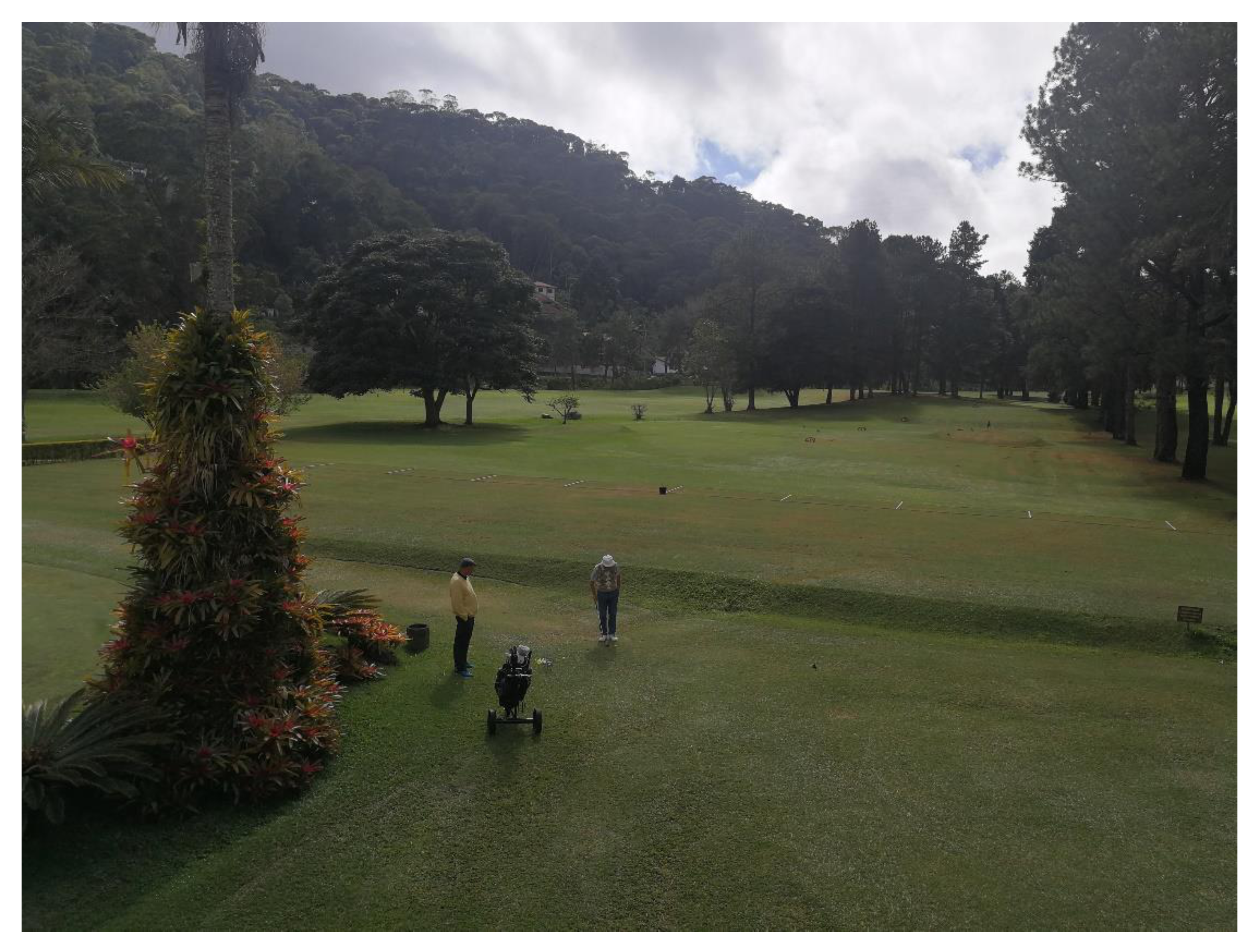 Sustainability 13 06125 g011 550