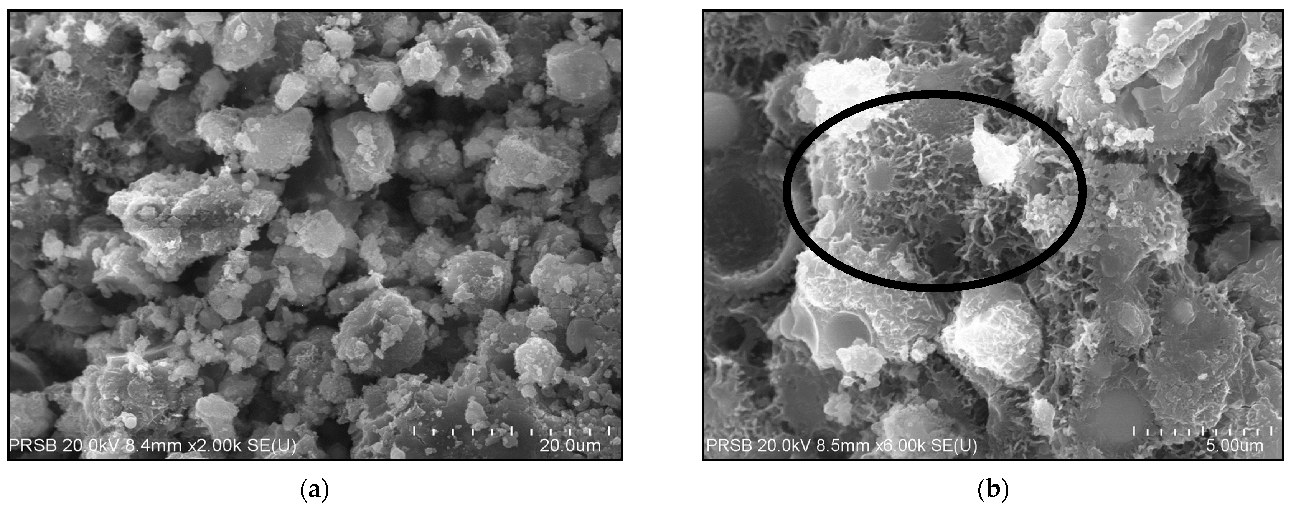 Sustainability 13 06128 g011