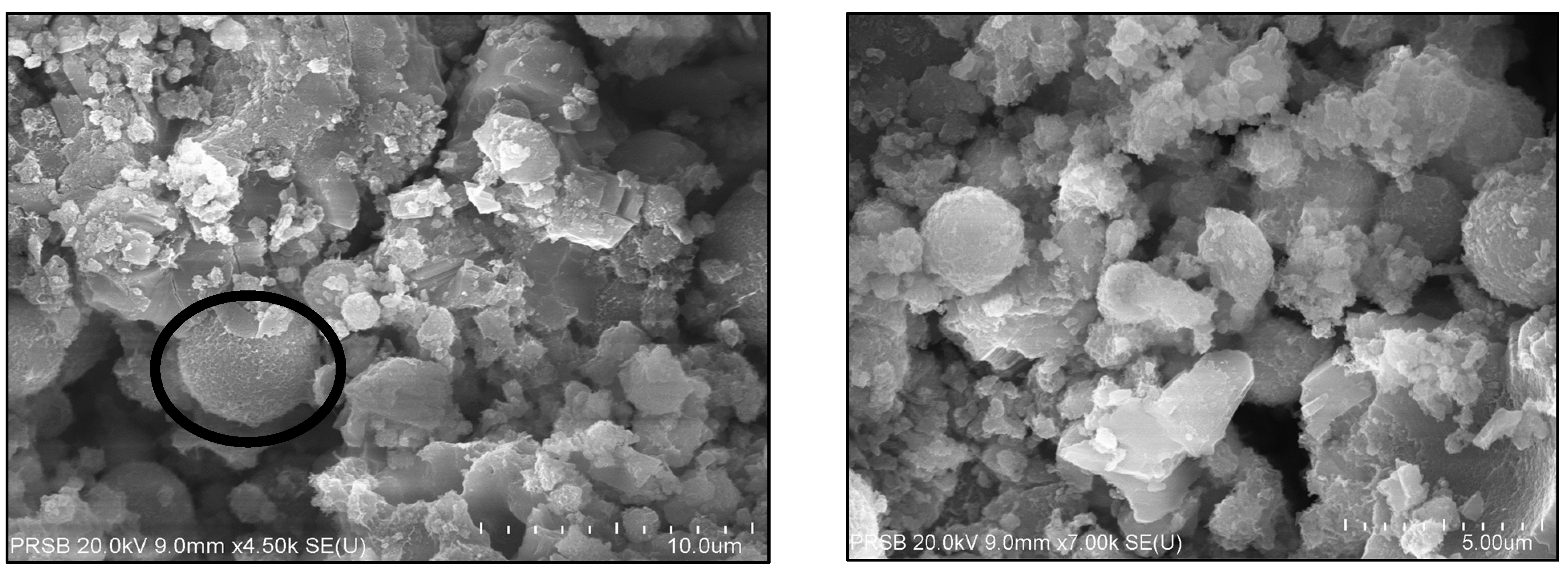 Sustainability 13 06128 g012