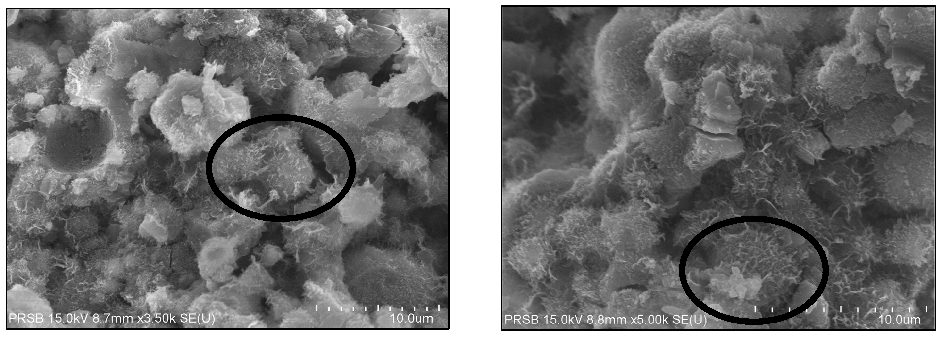 Sustainability 13 06128 g013