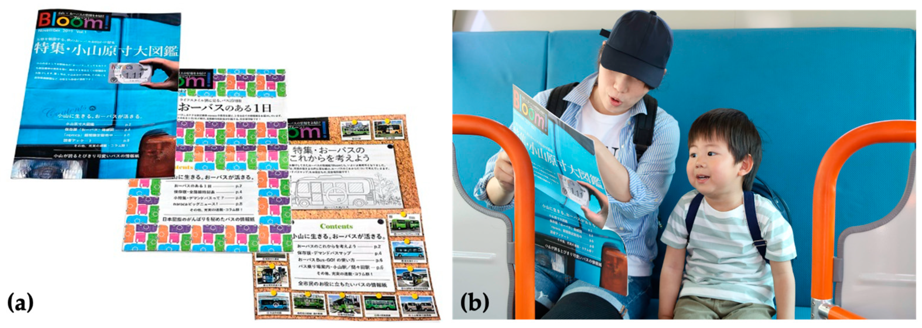 Sustainability 13 06160 g001