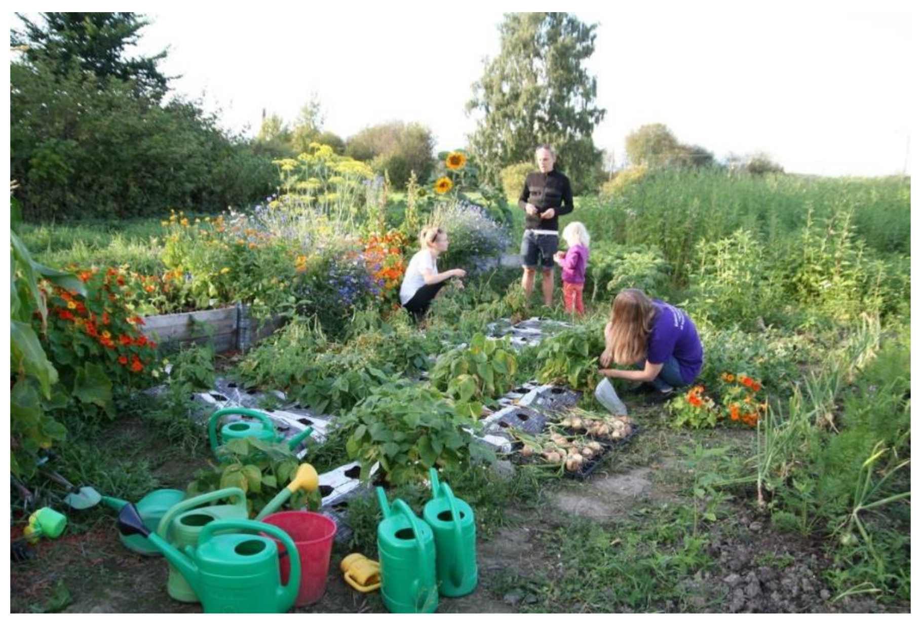 Sustainability 13 06231 g004 550