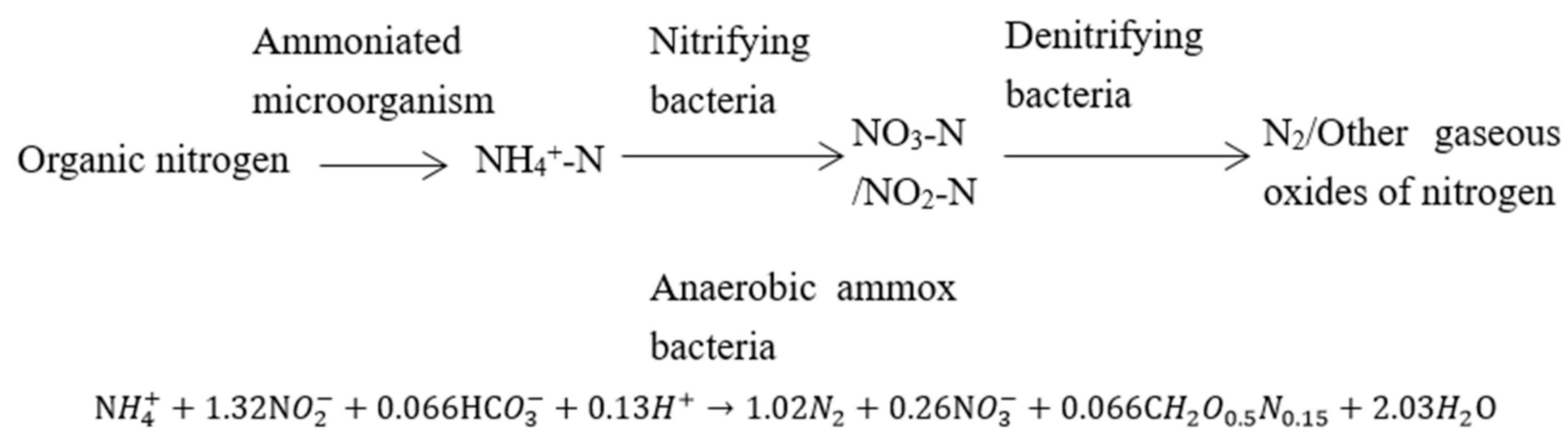 Sustainability | Free Full-Text | Advances in Biological Nitrogen 