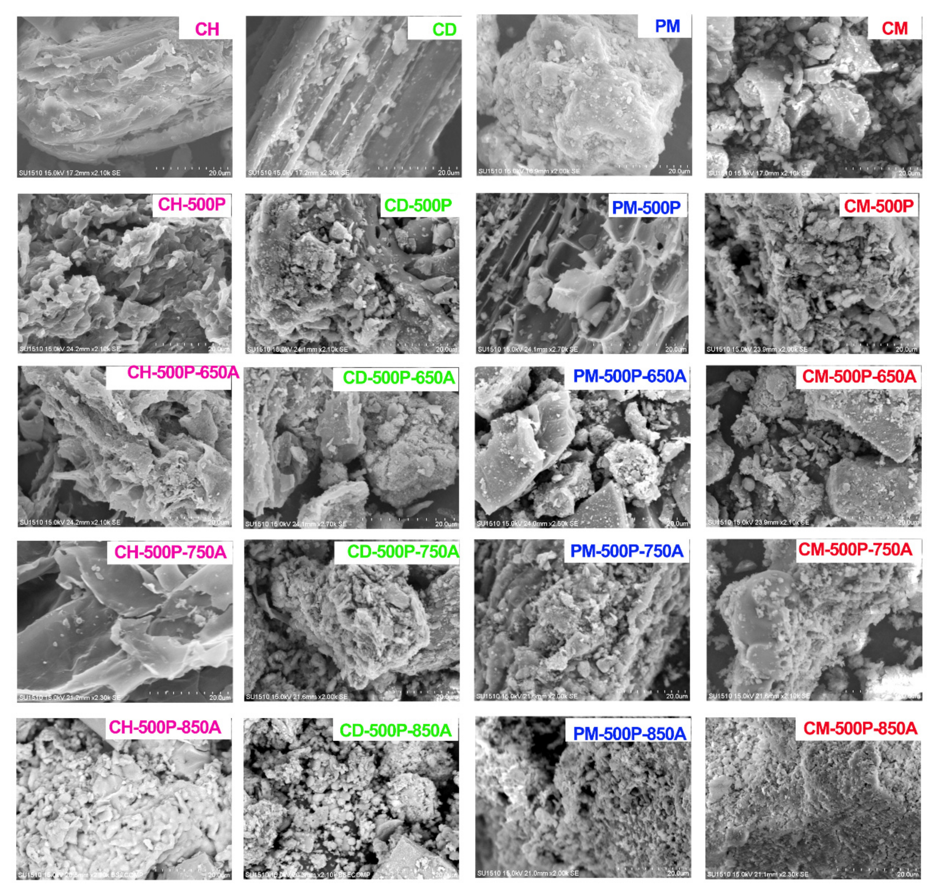 Sustainability 13 06262 g005