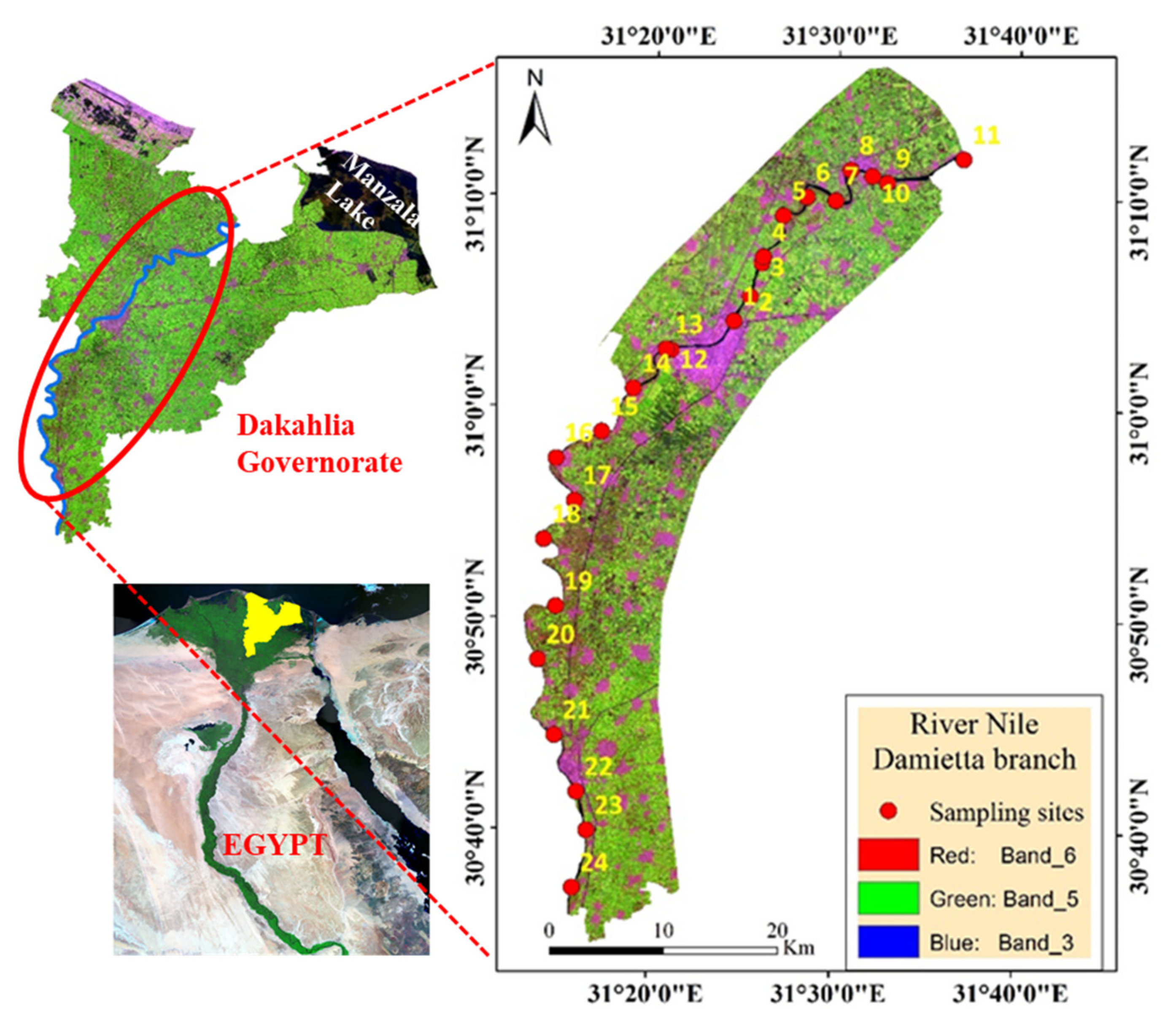 Sustainability 13 06377 g001 Sustainability 13 06377 g001