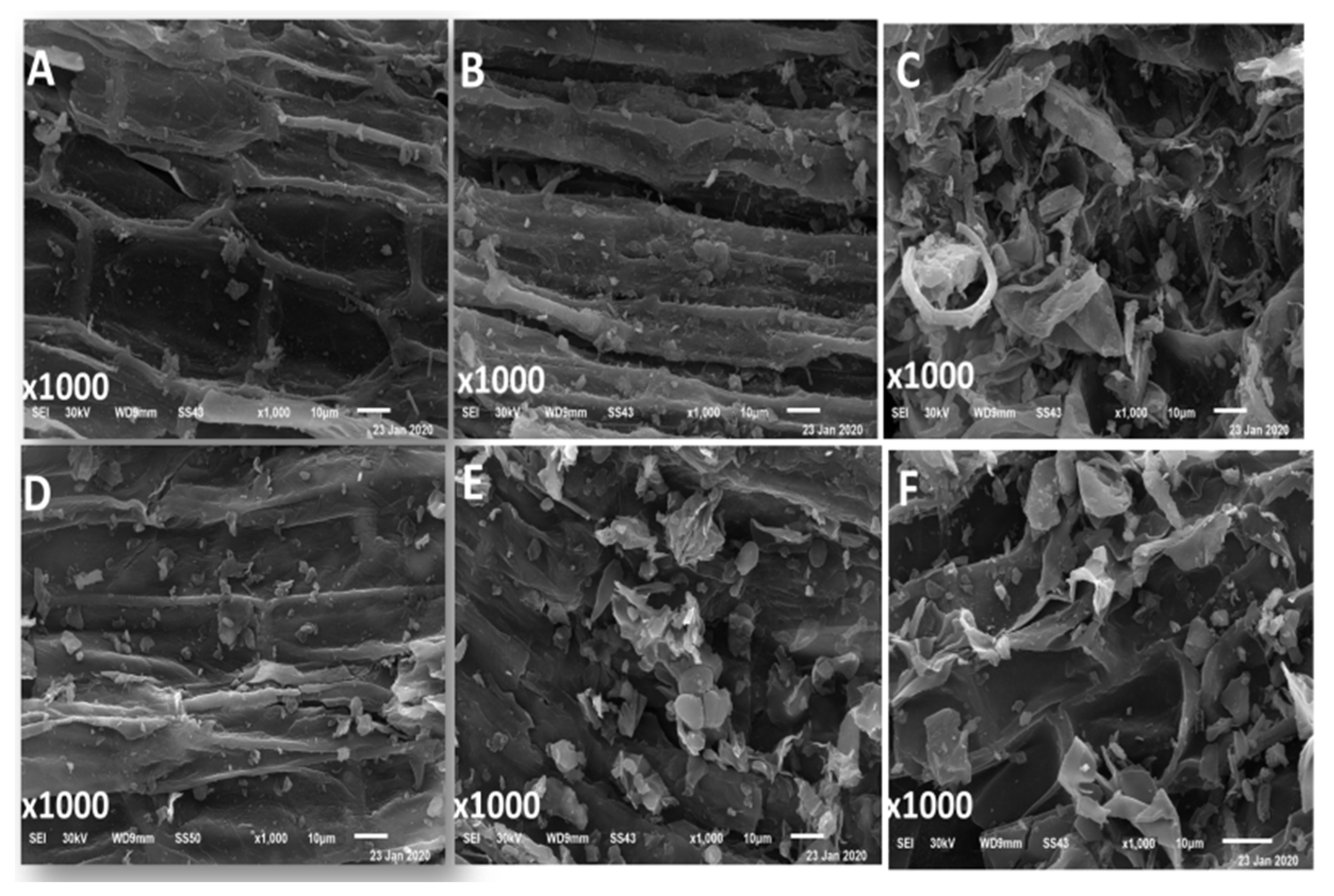Sustainability 13 06390 g001 Sustainability 13 06390 g001