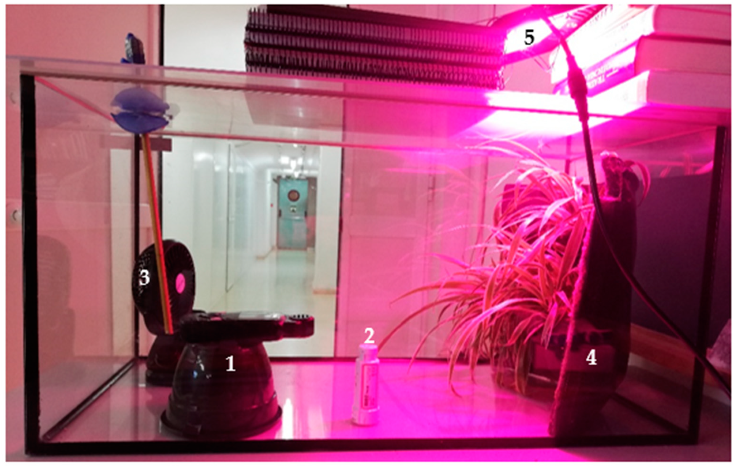 Sustainability 13 06393 g001 Sustainability 13 06393 g001