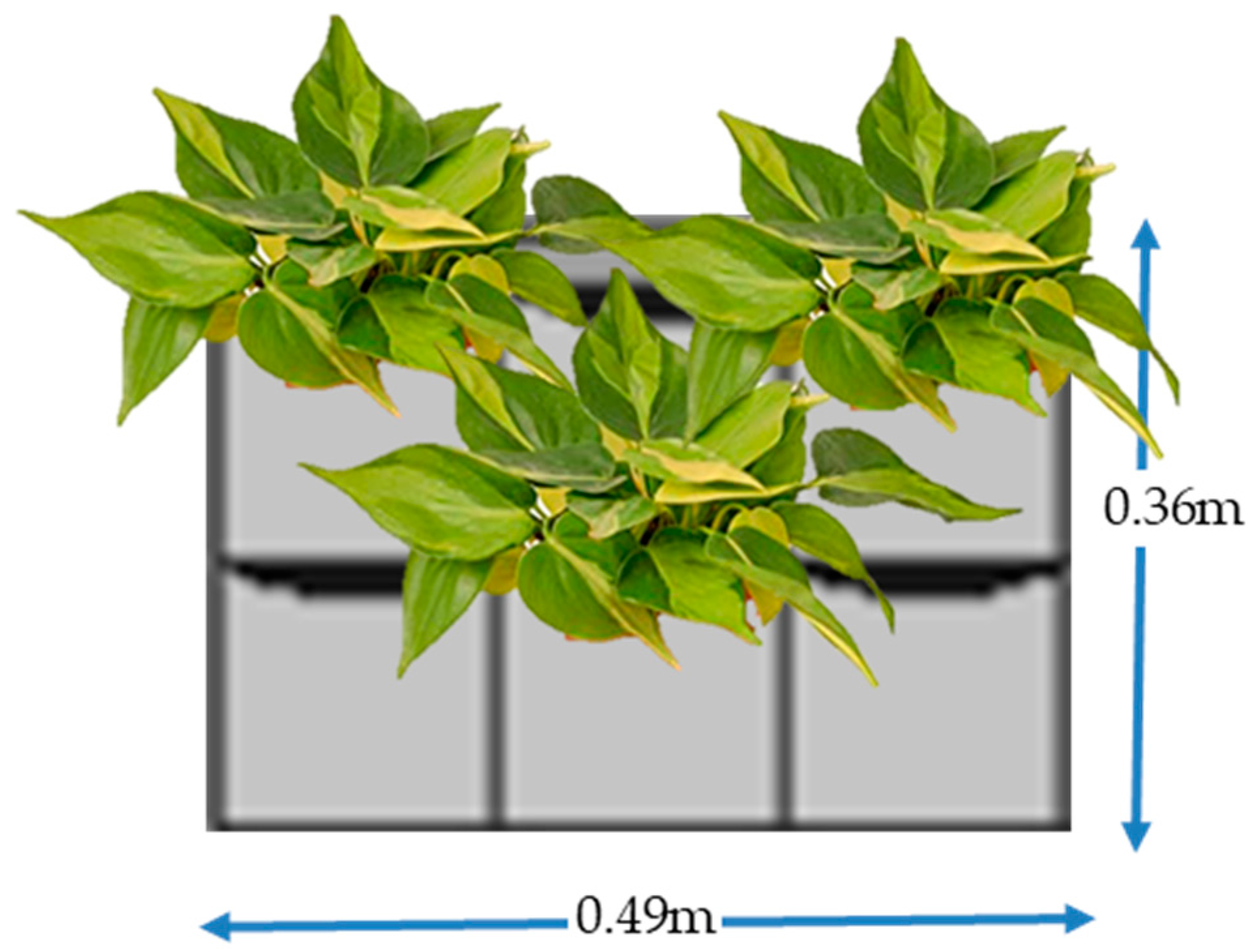 Sustainability 13 06393 g002 Sustainability 13 06393 g002