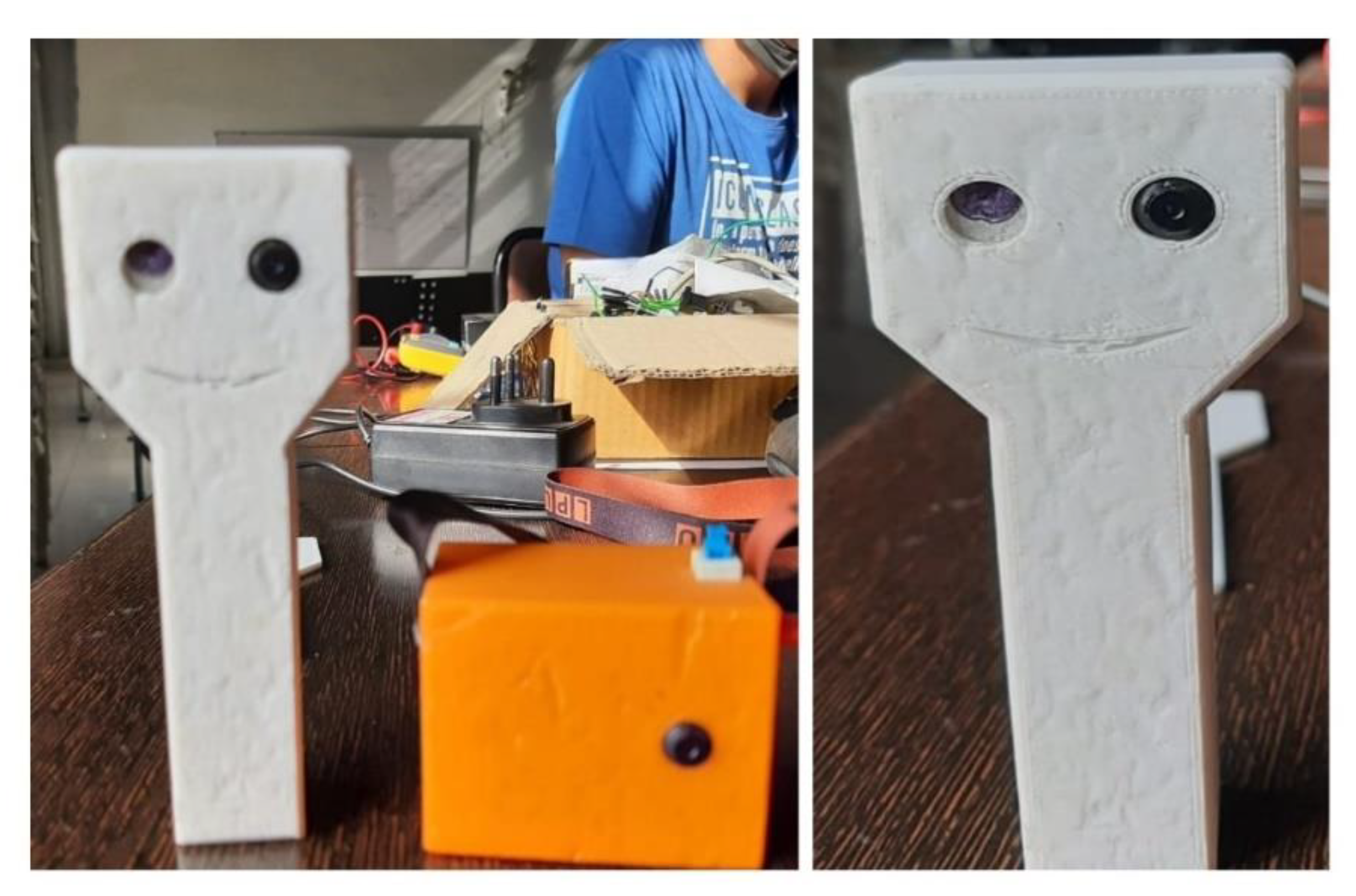 Sustainability 13 06398 g013 Sustainability 13 06398 g013