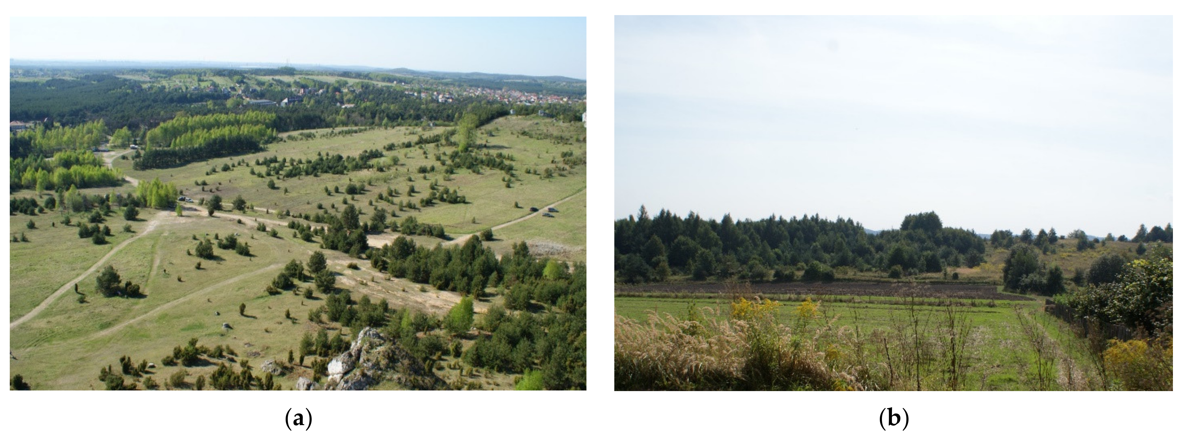 Sustainability 13 06408 g009