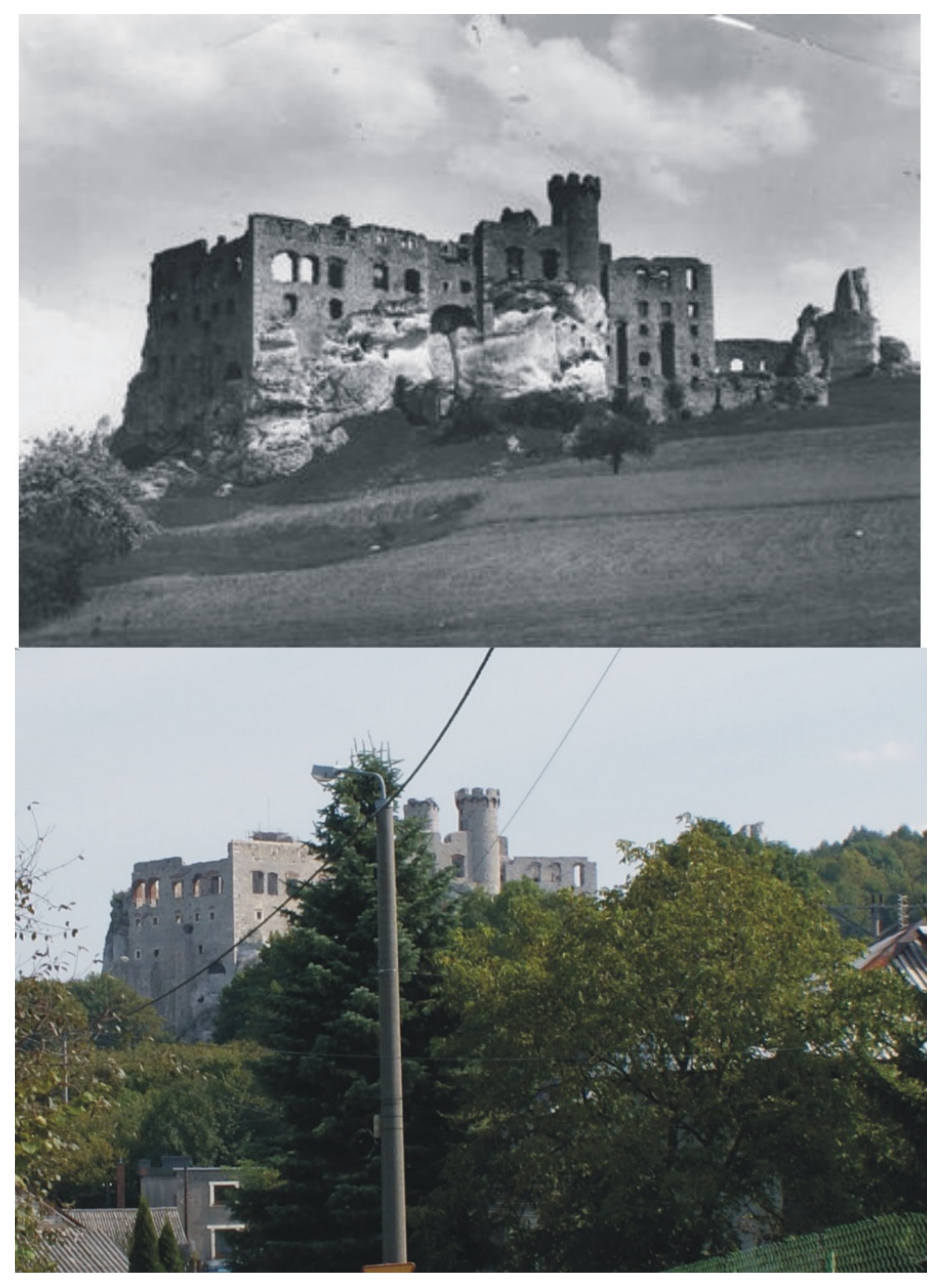 Sustainability 13 06408 g010