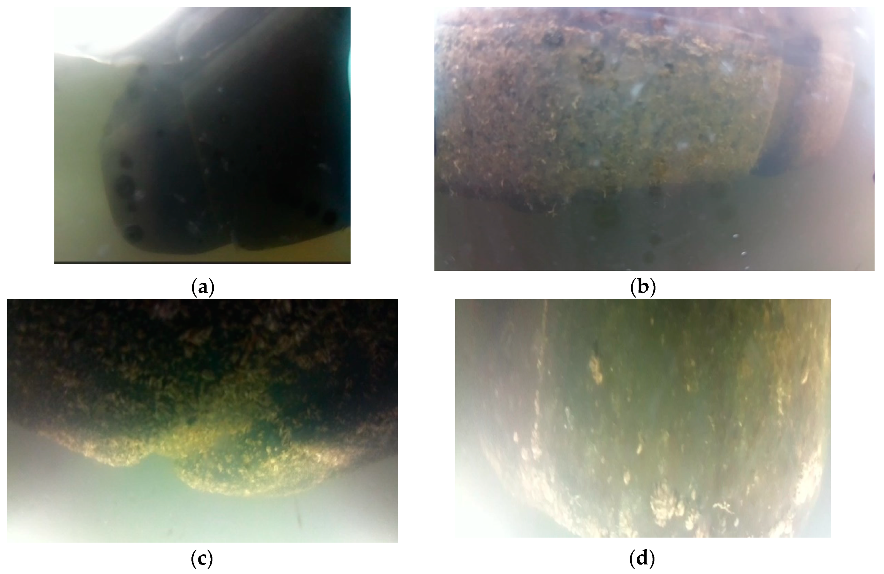 Sustainability 13 06421 g011 Sustainability 13 06421 g011