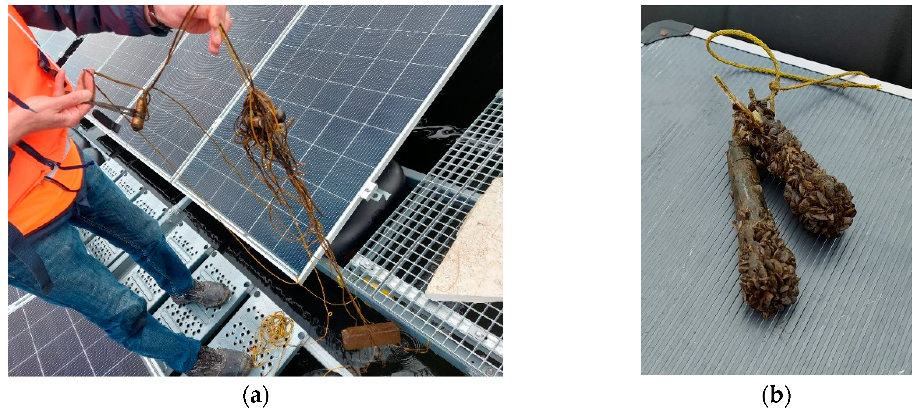 Sustainability 13 06421 g013 Sustainability 13 06421 g013