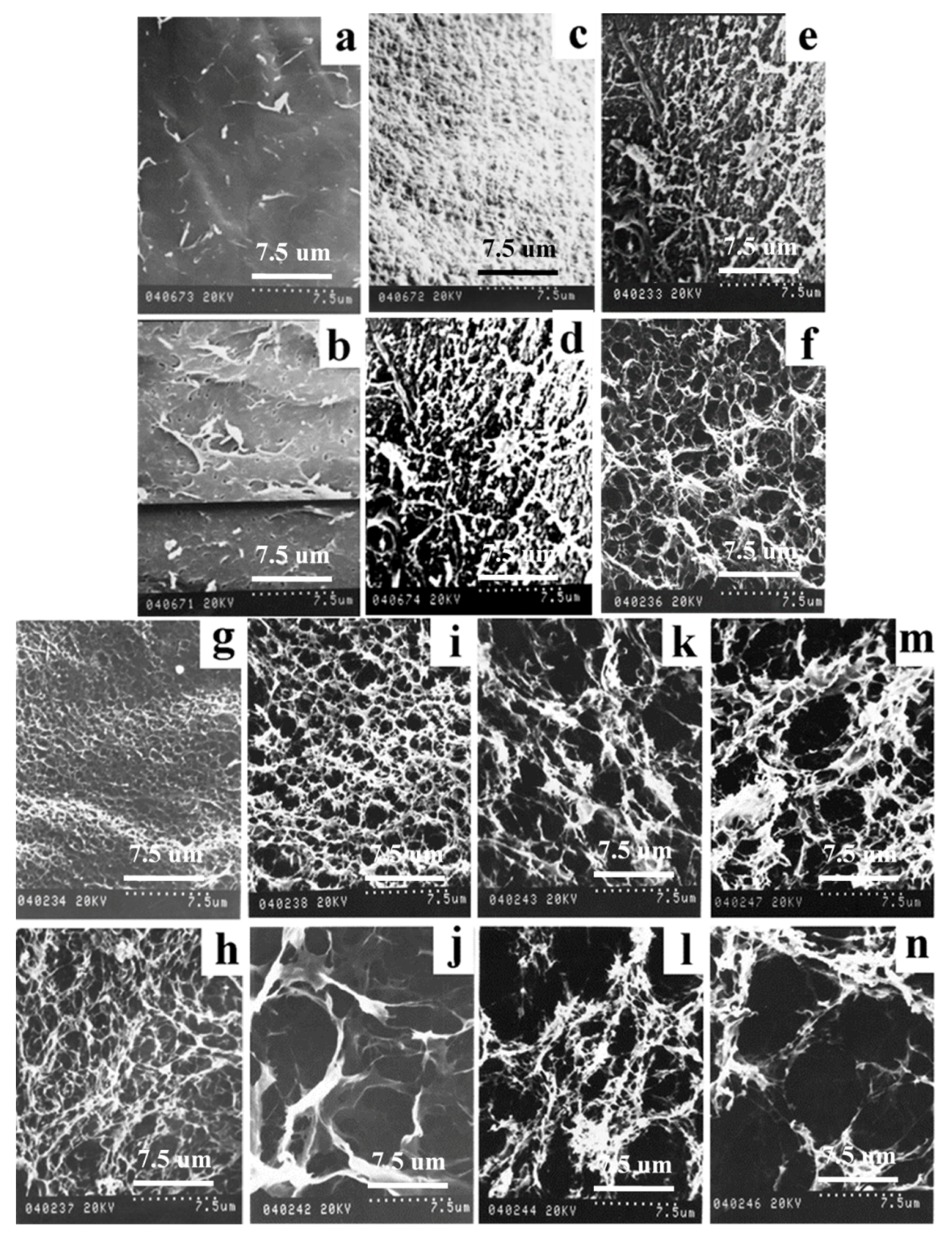 Sustainability 13 06460 g003