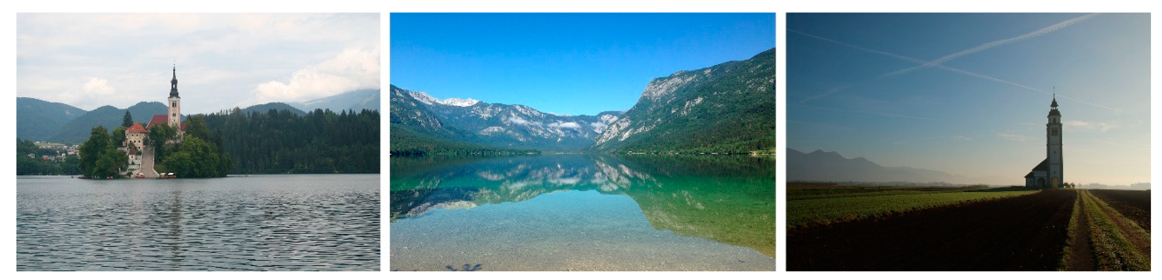 Sustainability 13 06475 g002