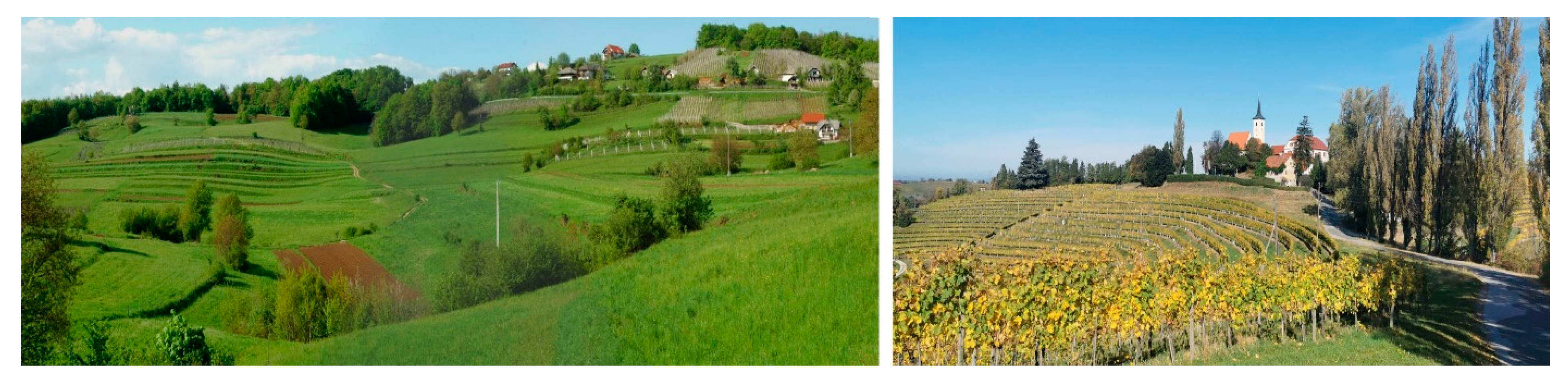 Sustainability 13 06475 g003