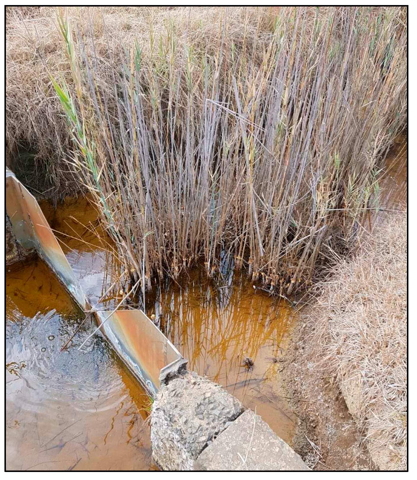 Sustainability 13 06529 g001 Sustainability 13 06529 g001