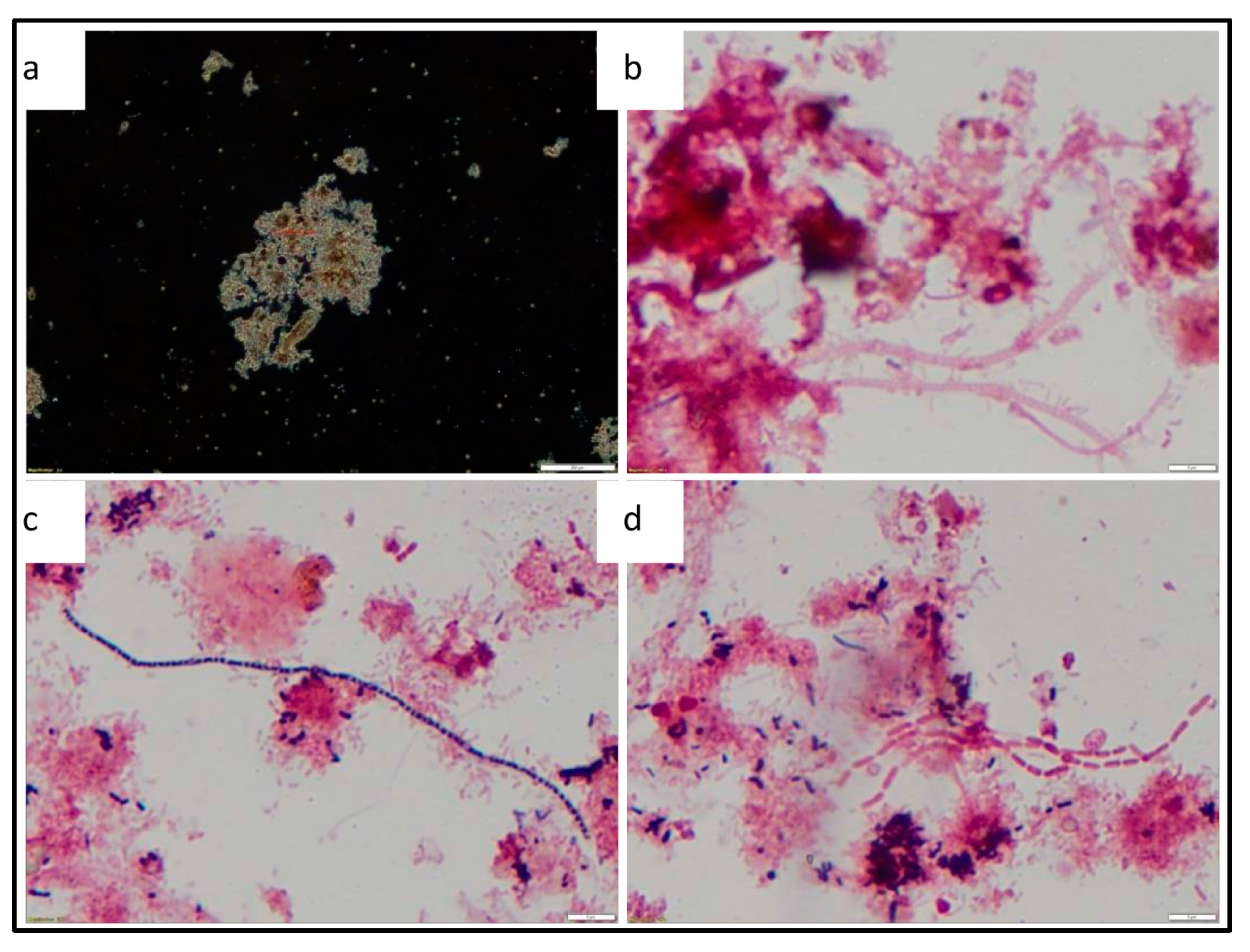 Sustainability 13 06529 g012 Sustainability 13 06529 g012