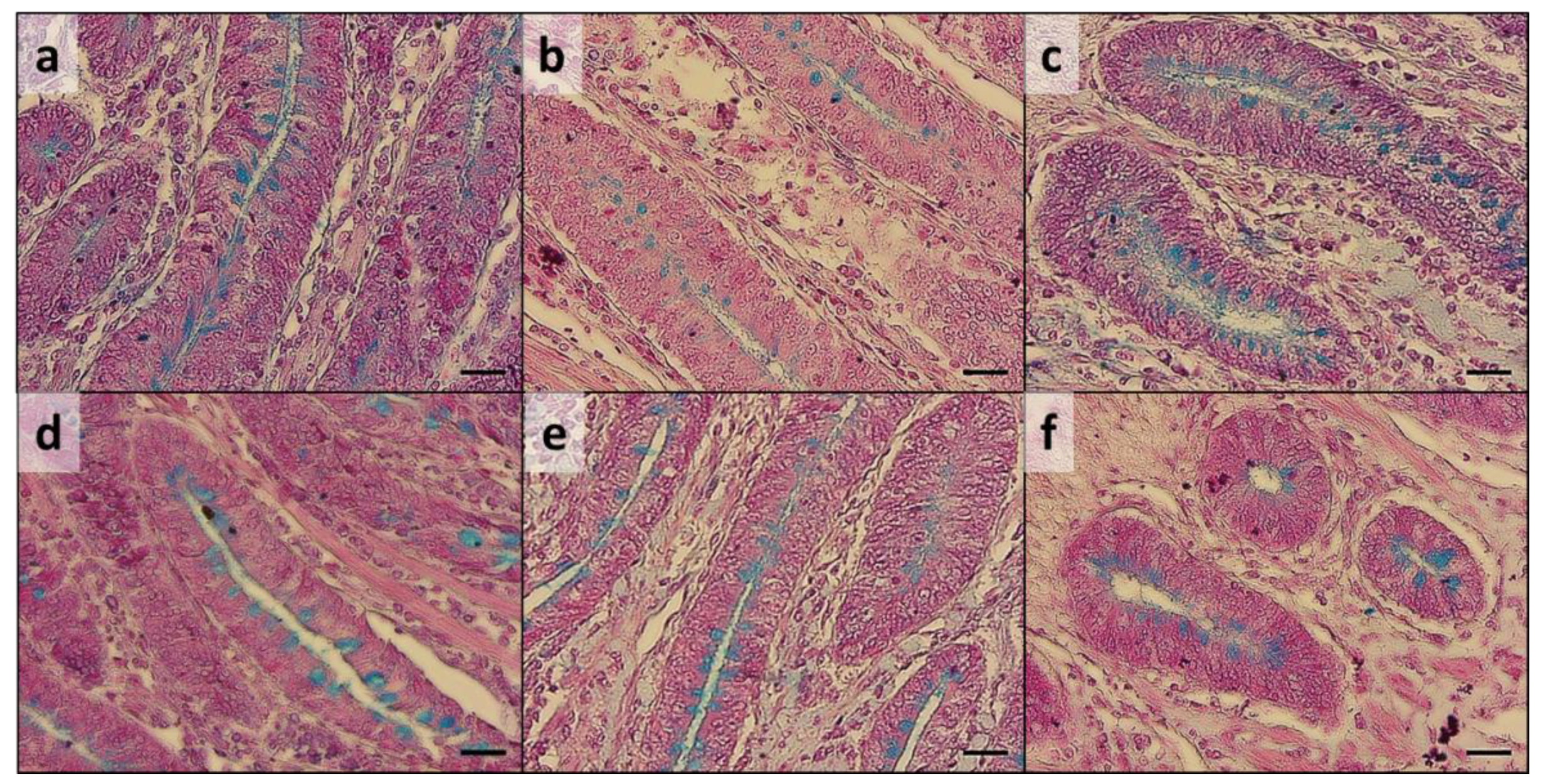 Sustainability 13 06554 g001